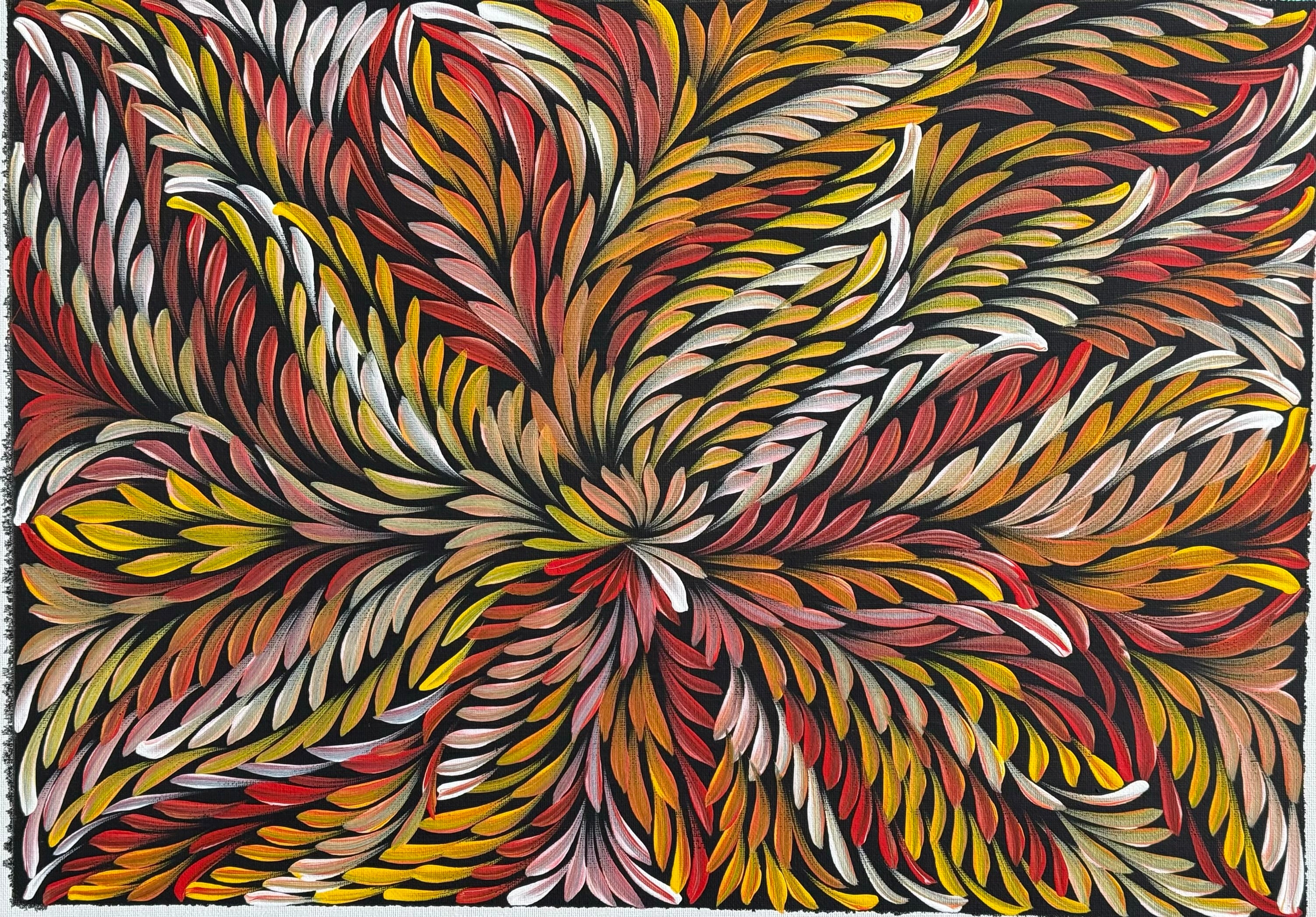 Caroline Numina - Bush Medicine Leaves .48-7
