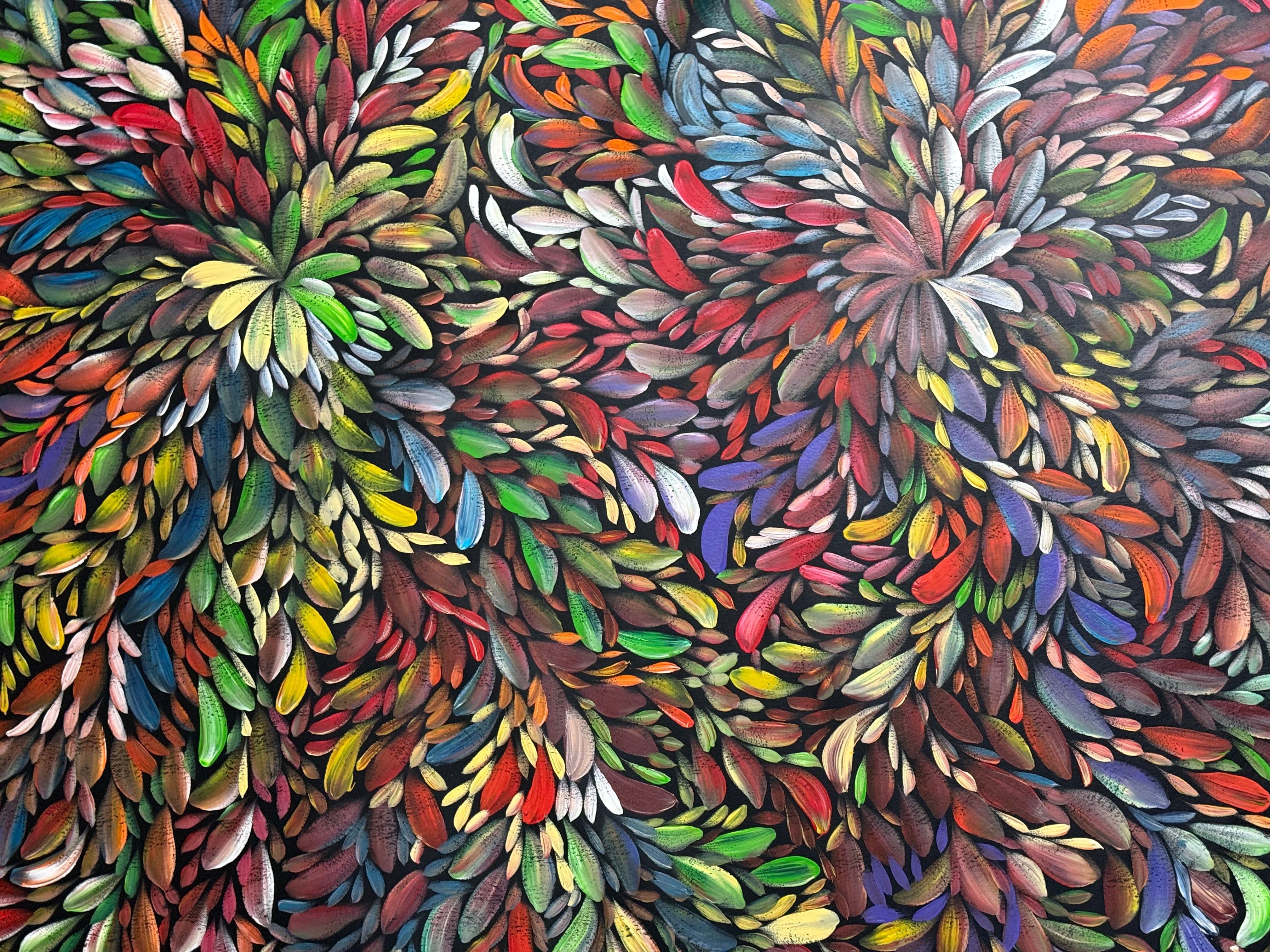 Louise Numina Napananka - Bush Medicine Leaves .29-1