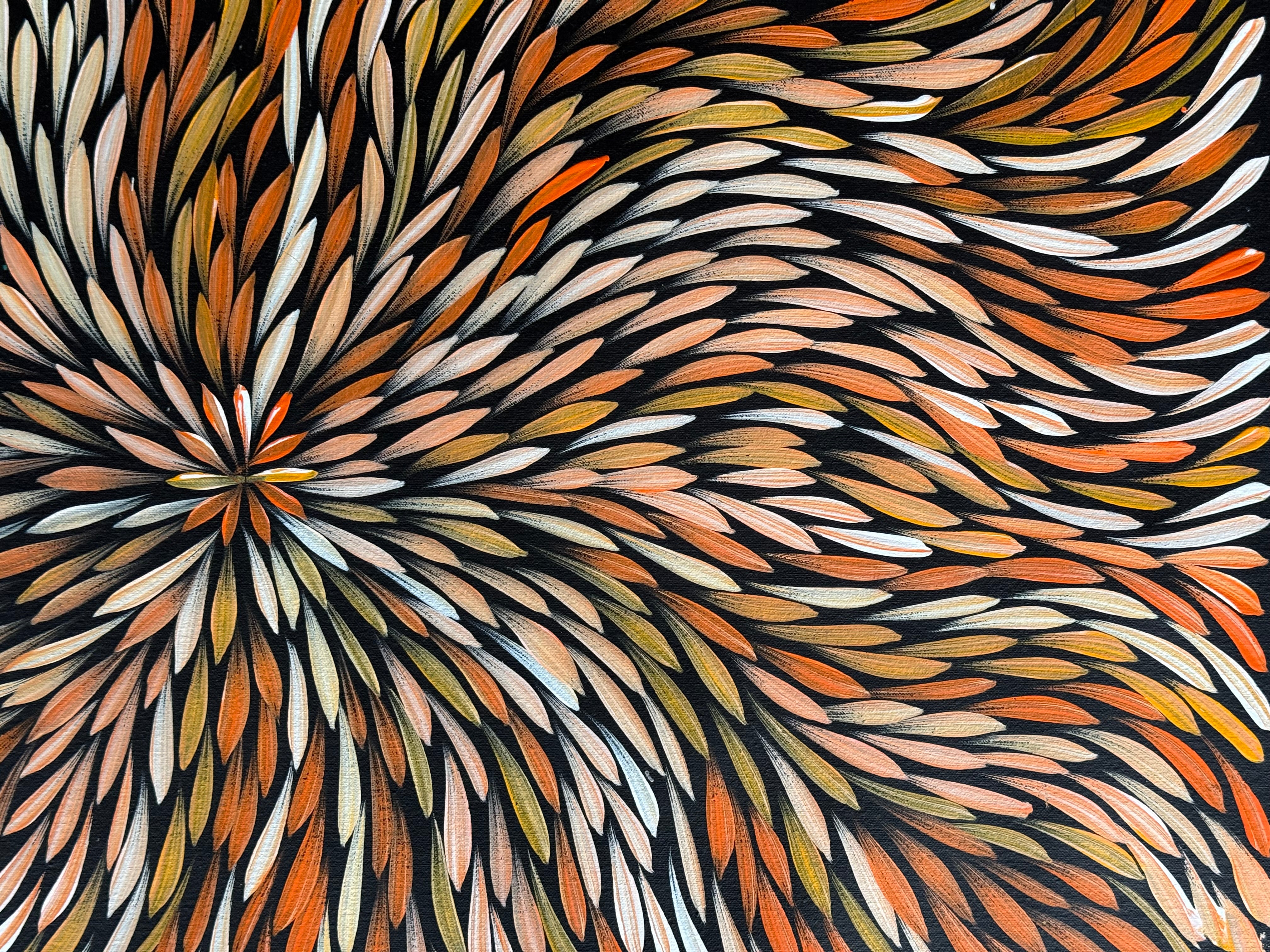 Sharon Numina - Bush Medicine Leaves .14-14