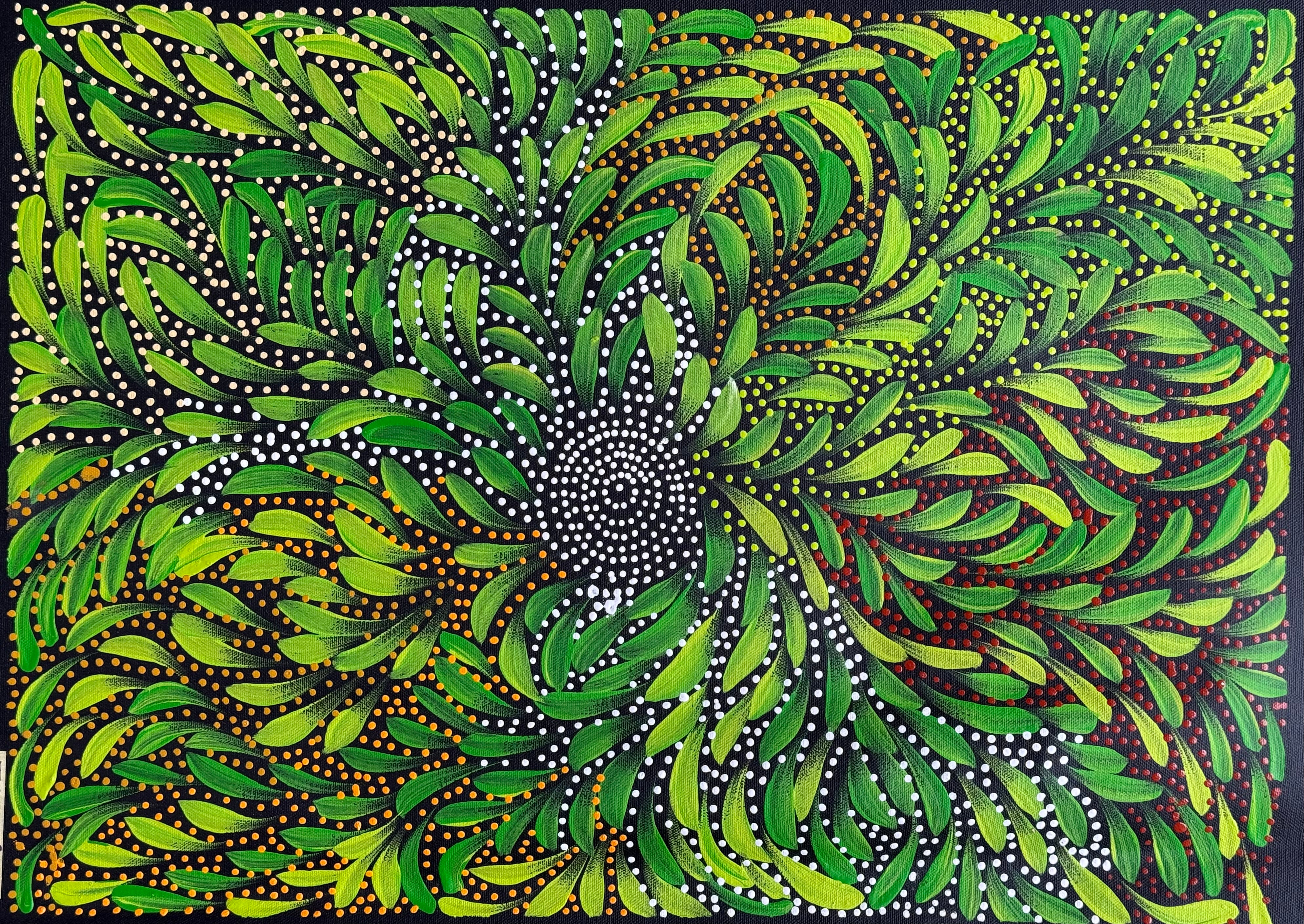 Caroline Numina - Bush Medicine Leaves with Seeds .91-4