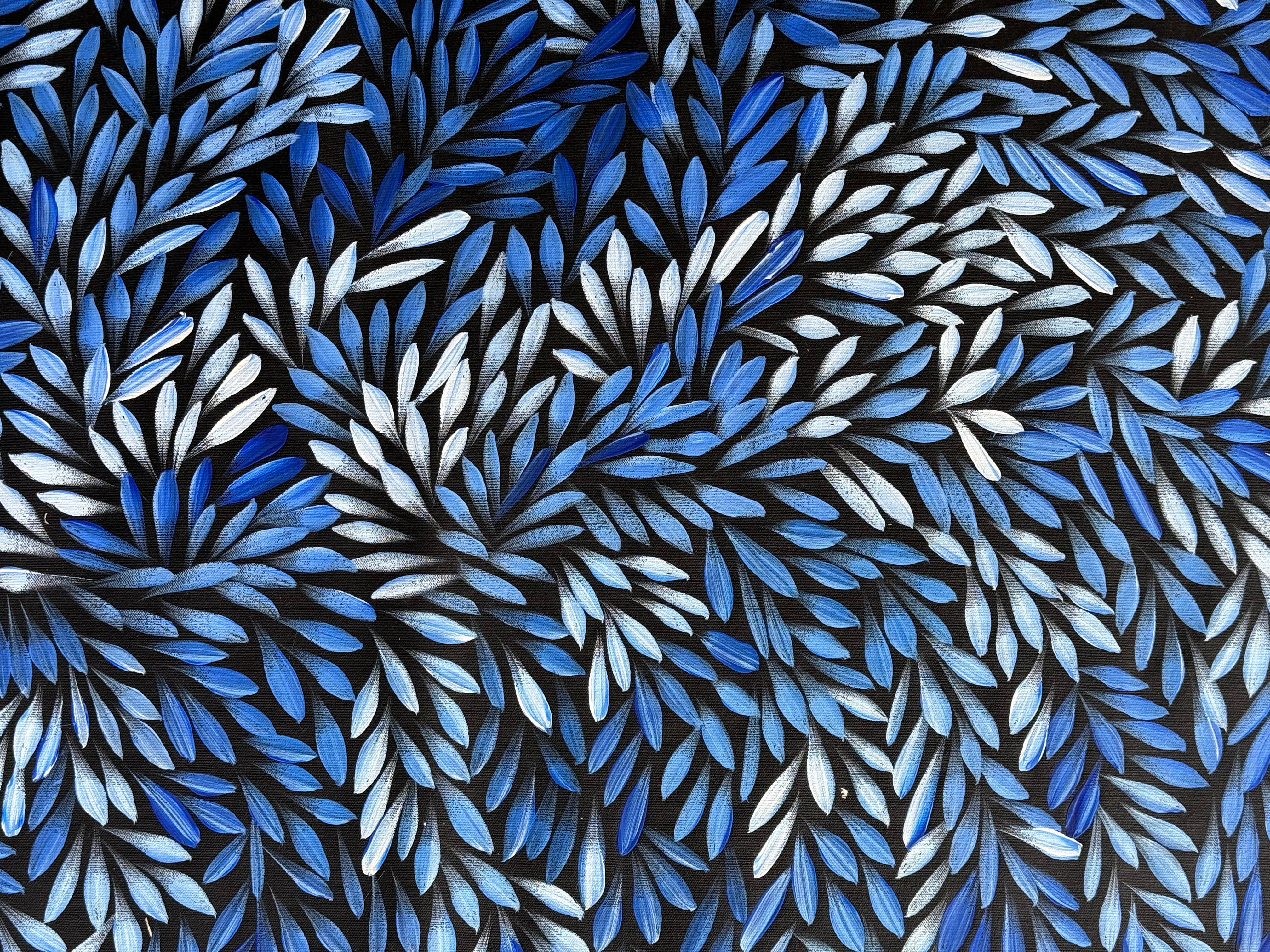 Sharon Numina - Bush Medicine Leaves .95-9