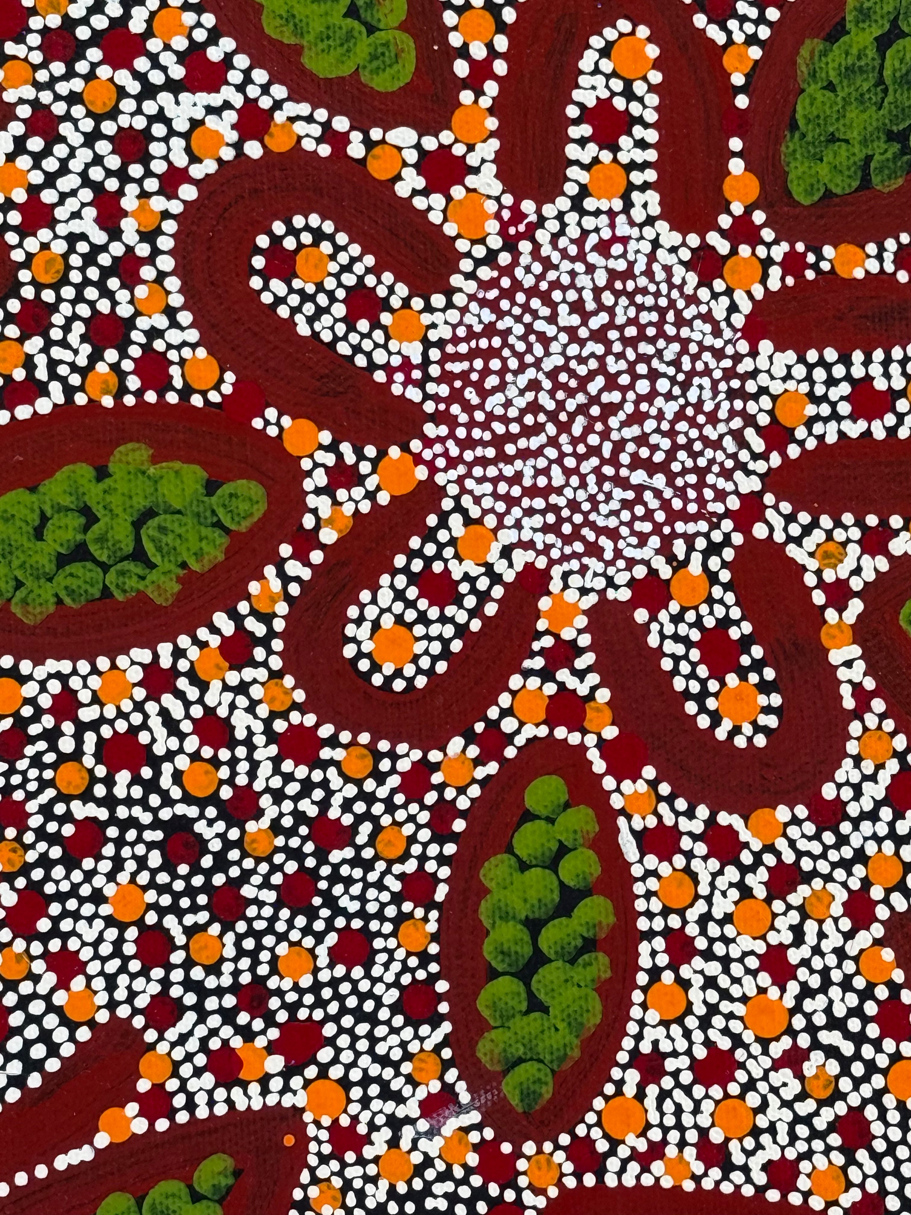 Katie Kemarre - Women Collecting Kurrajong Seeds - 30x30cm .48-17