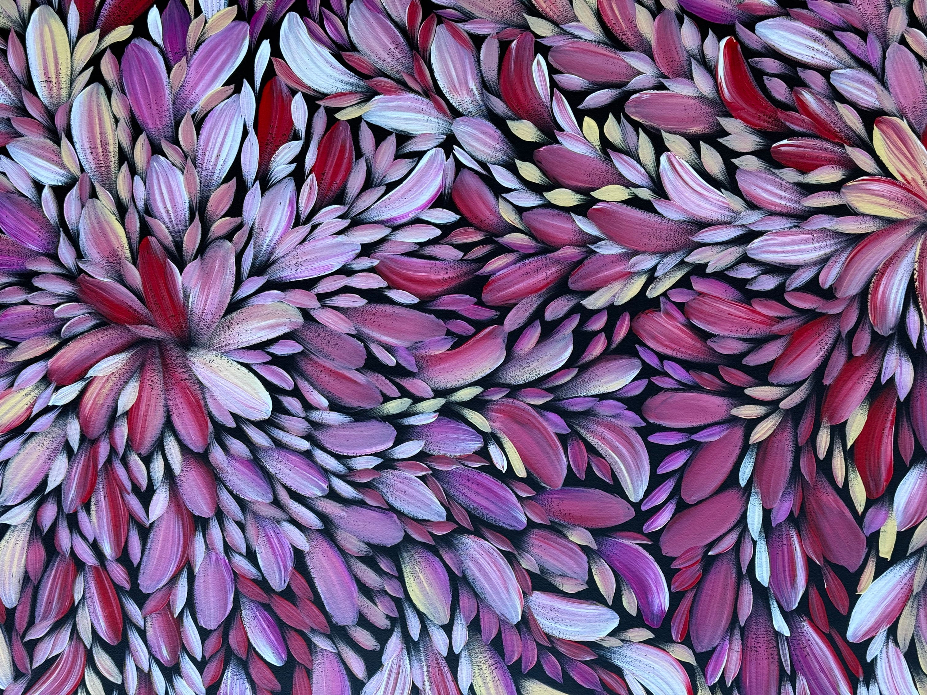 Louise Numina Napananka - Bush Medicine Leaves .41-21