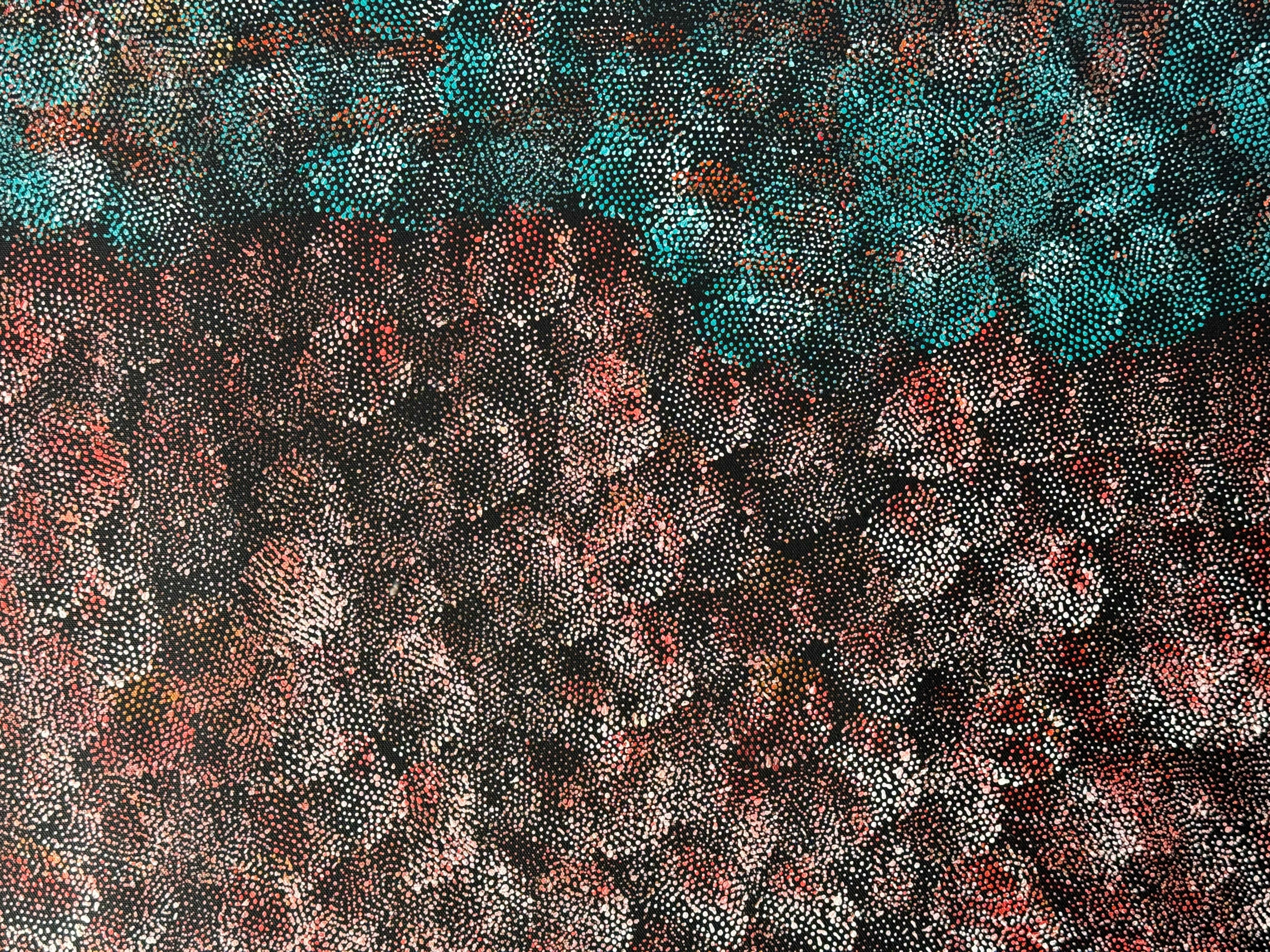 Lanita Numina - Thorny Lizard Changing Its Colours .34-3