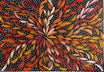 Louise Numina Napananka - Bush Medicine Leaves and Seeds .60-16