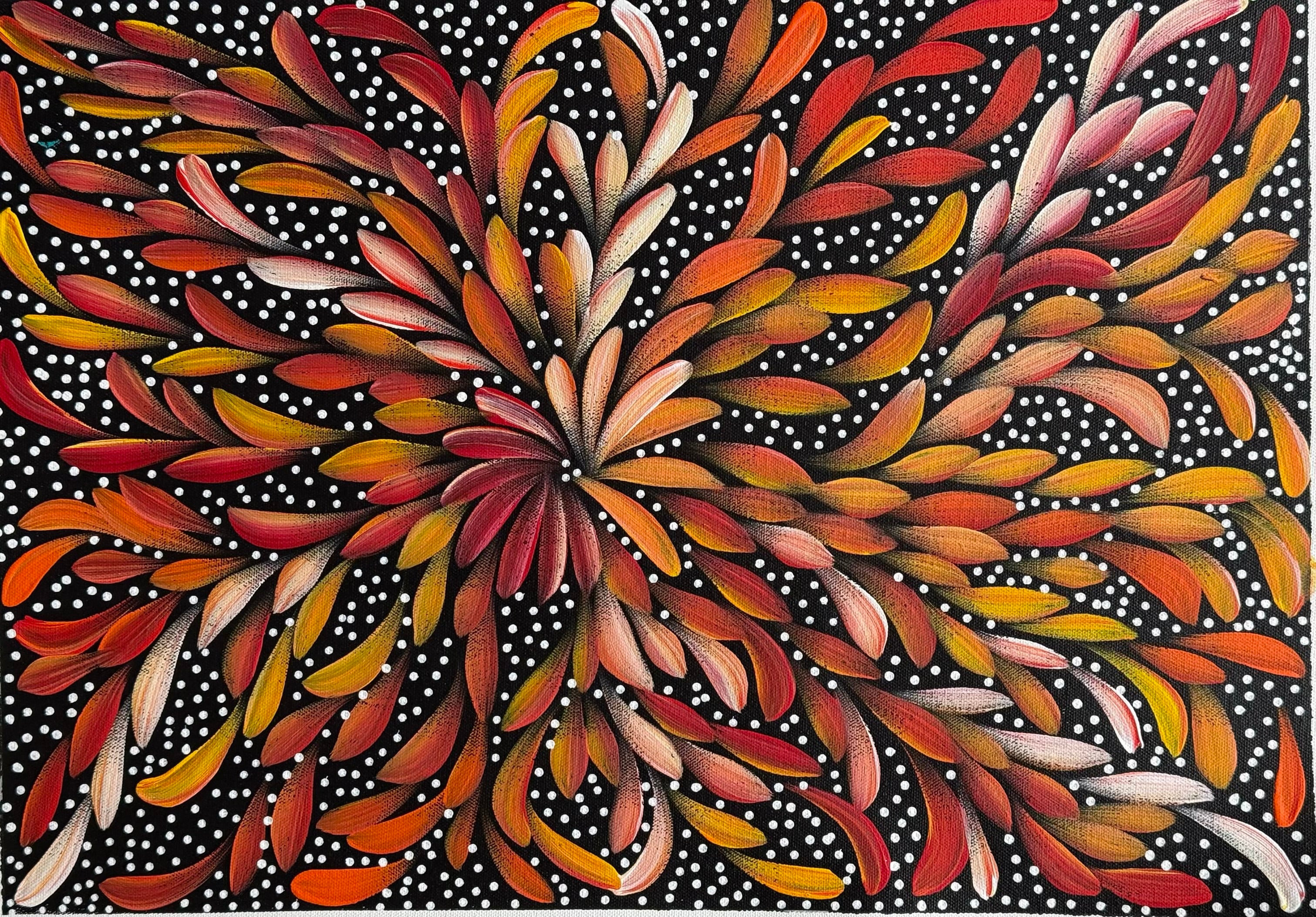 Louise Numina Napananka - Bush Medicine Leaves and Seeds .60-16