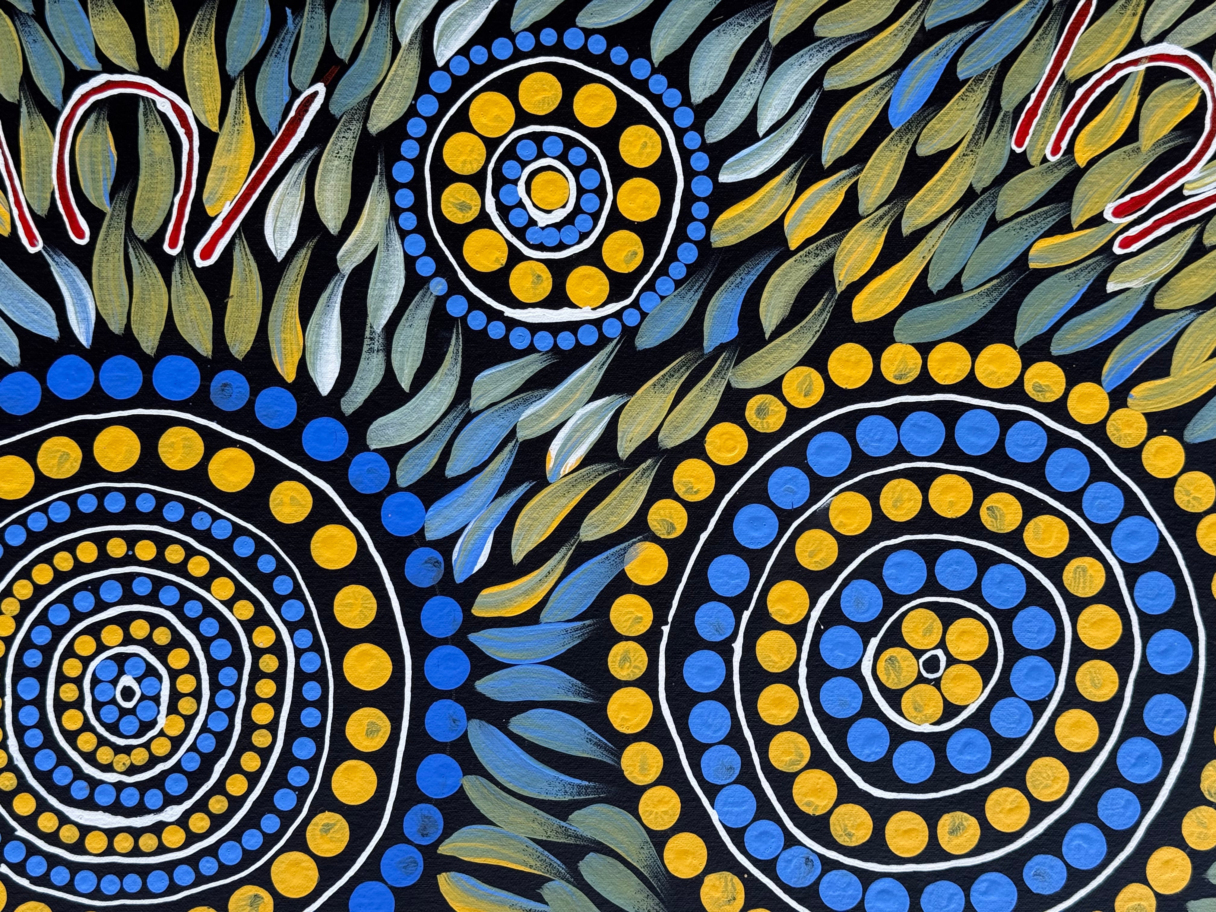 Sabina Gorey - Bush Medicine Leaves .04-2