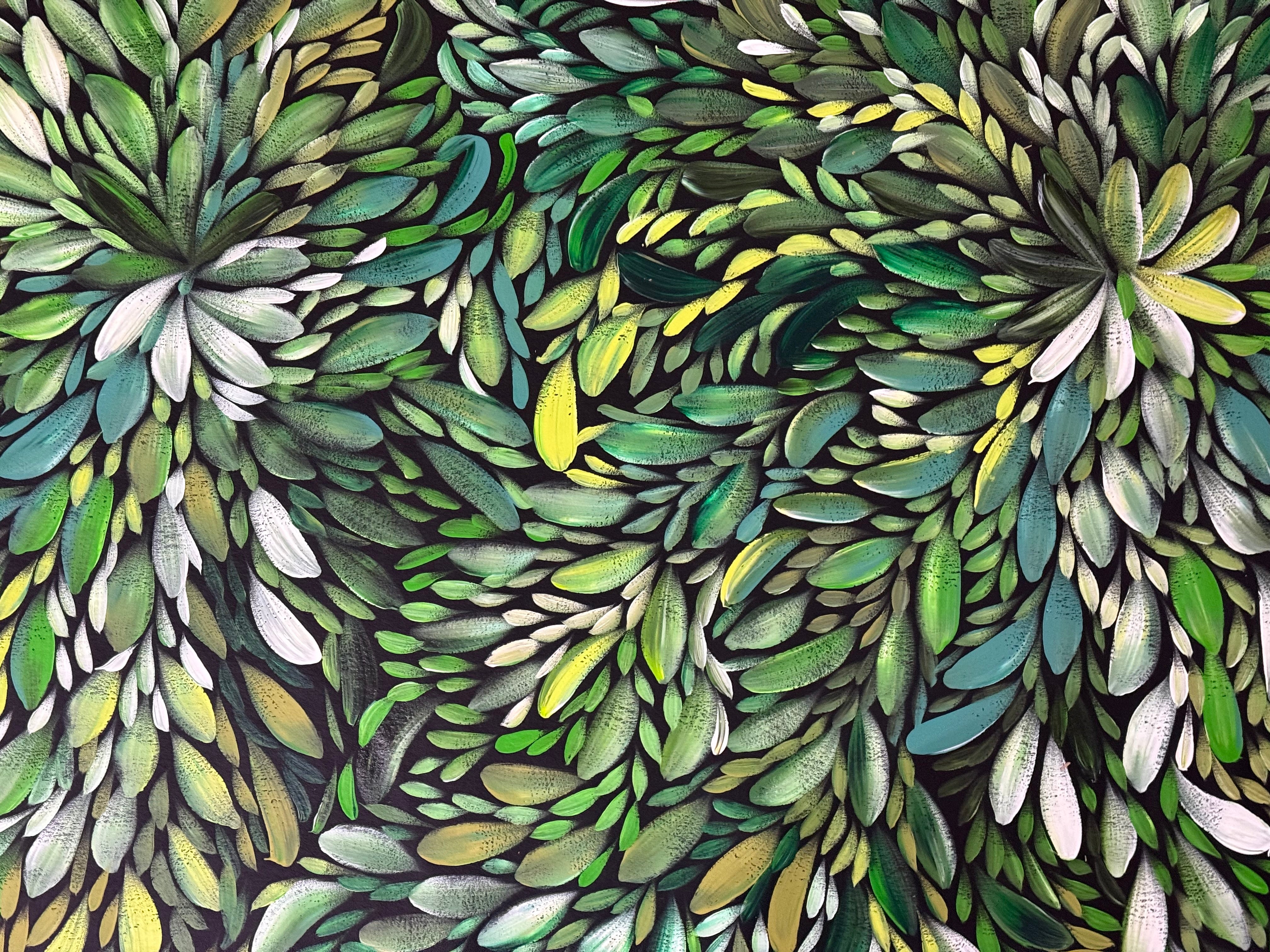Louise Numina Napananka - Bush Medicine Leaves .22-19