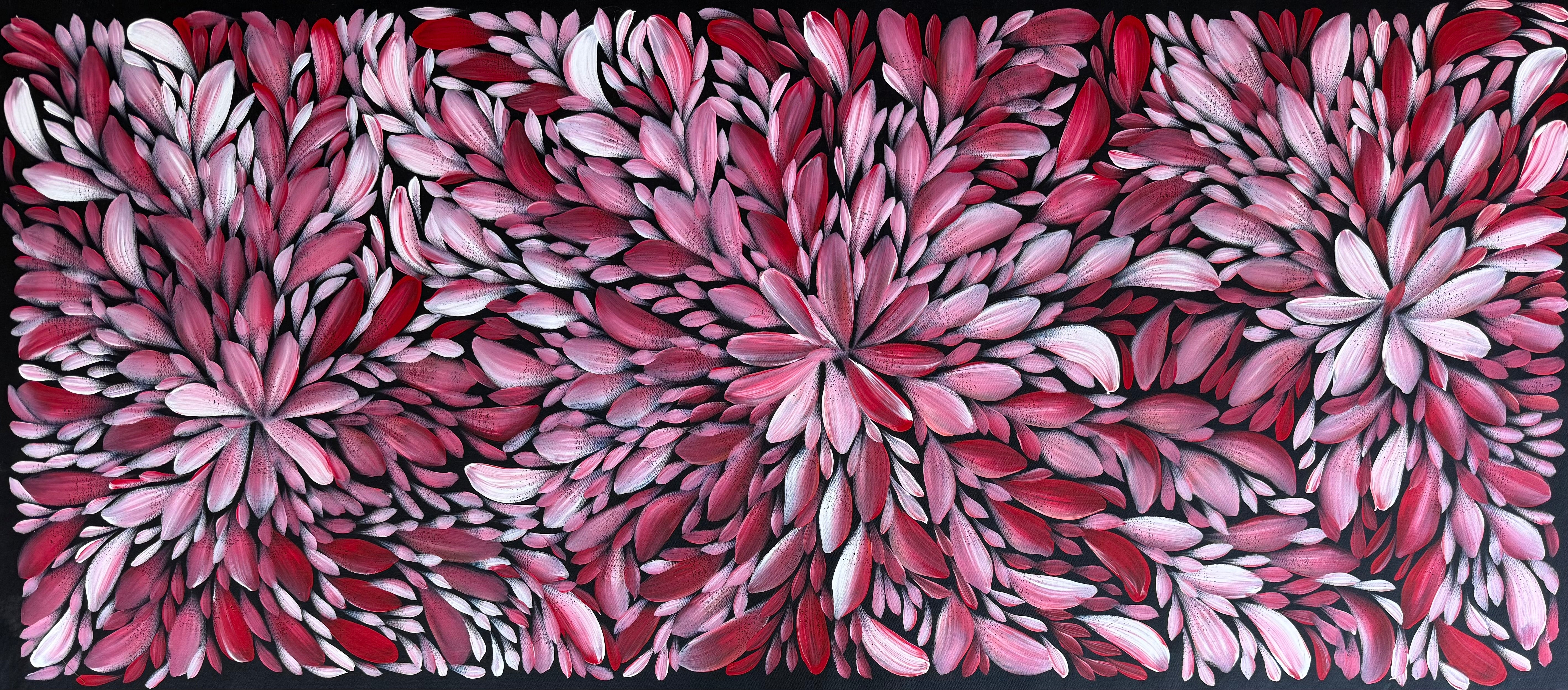 Louise Numina Napananka - Bush Medicine Leaves .57-48