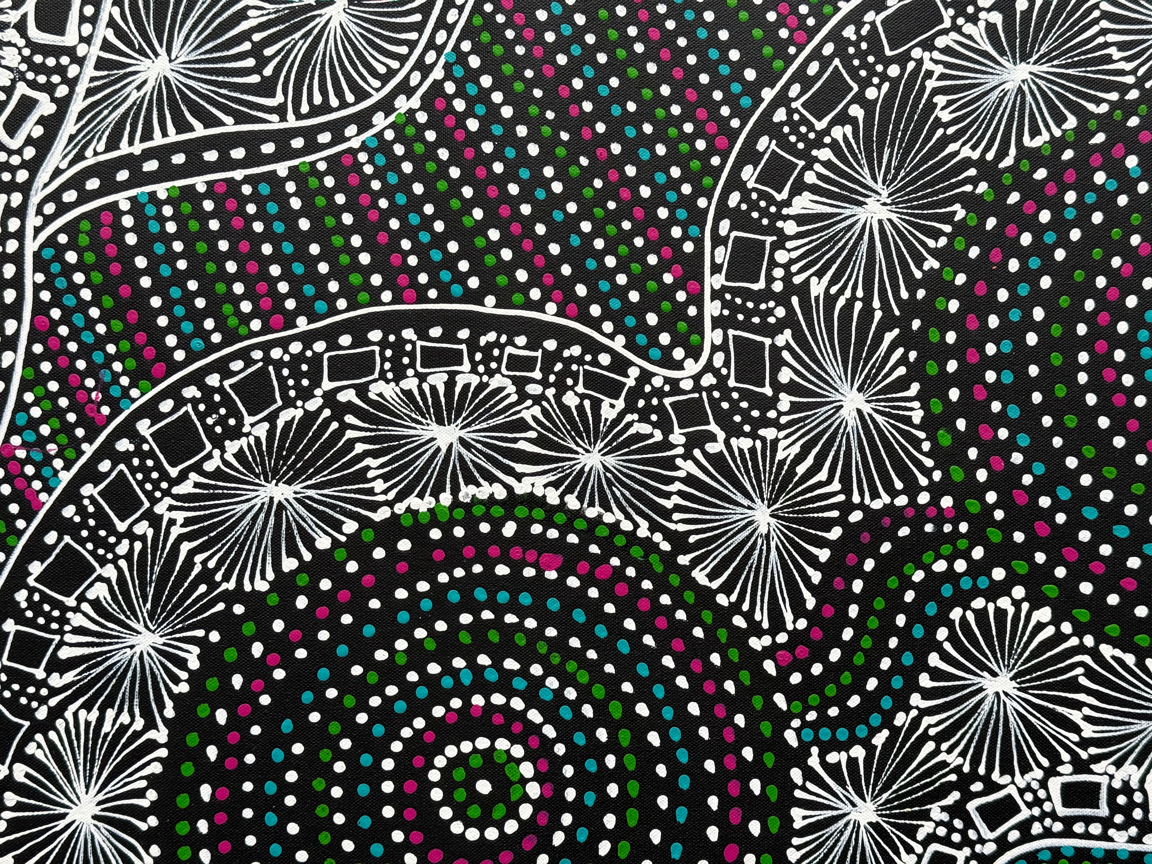 Selina Numina Kamprina - Seeds and Waterholes .92-2