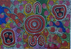 Louise Numina Napananka - Bush Tucker .20-2