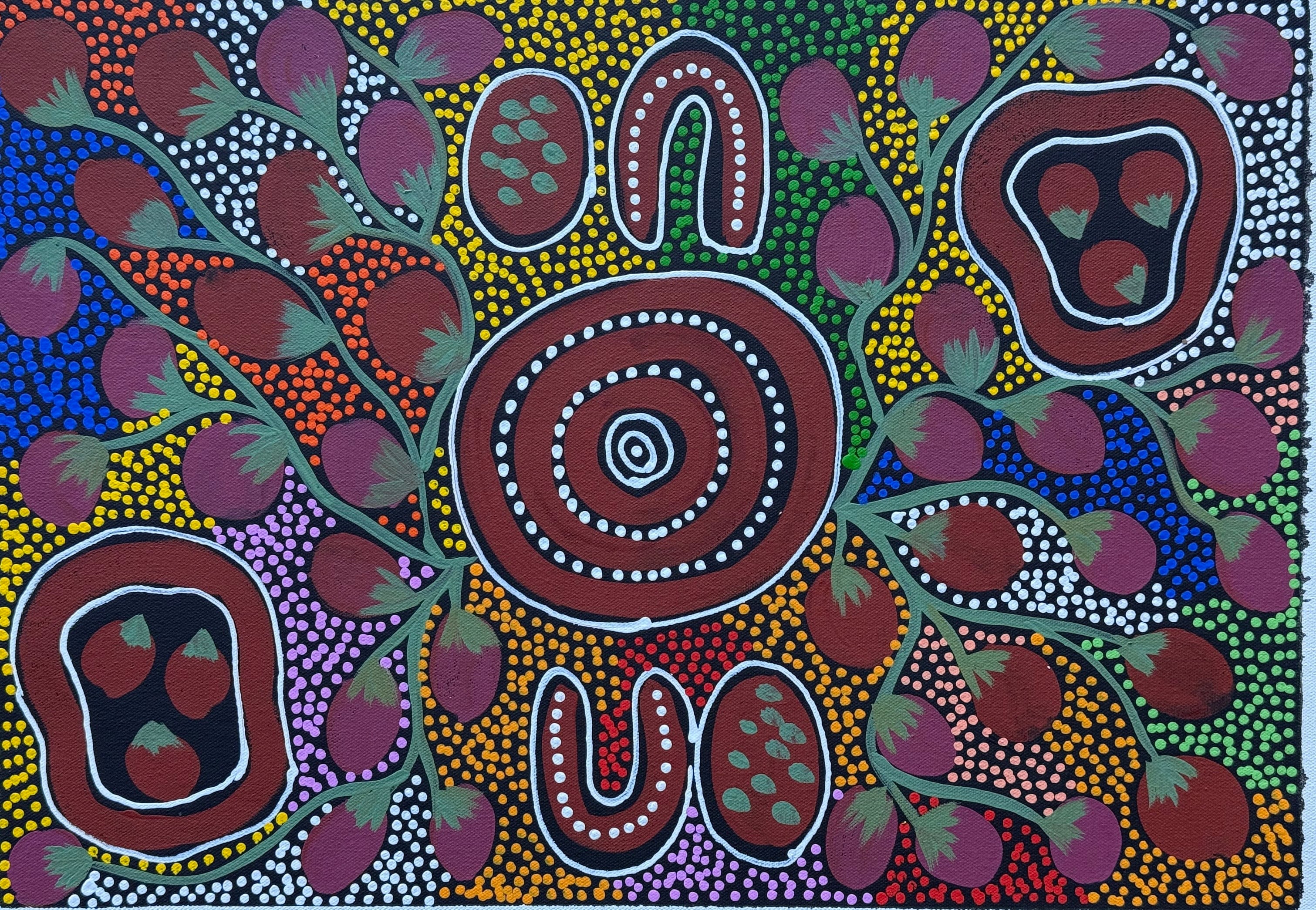 Louise Numina Napananka - Bush Tucker .20-2