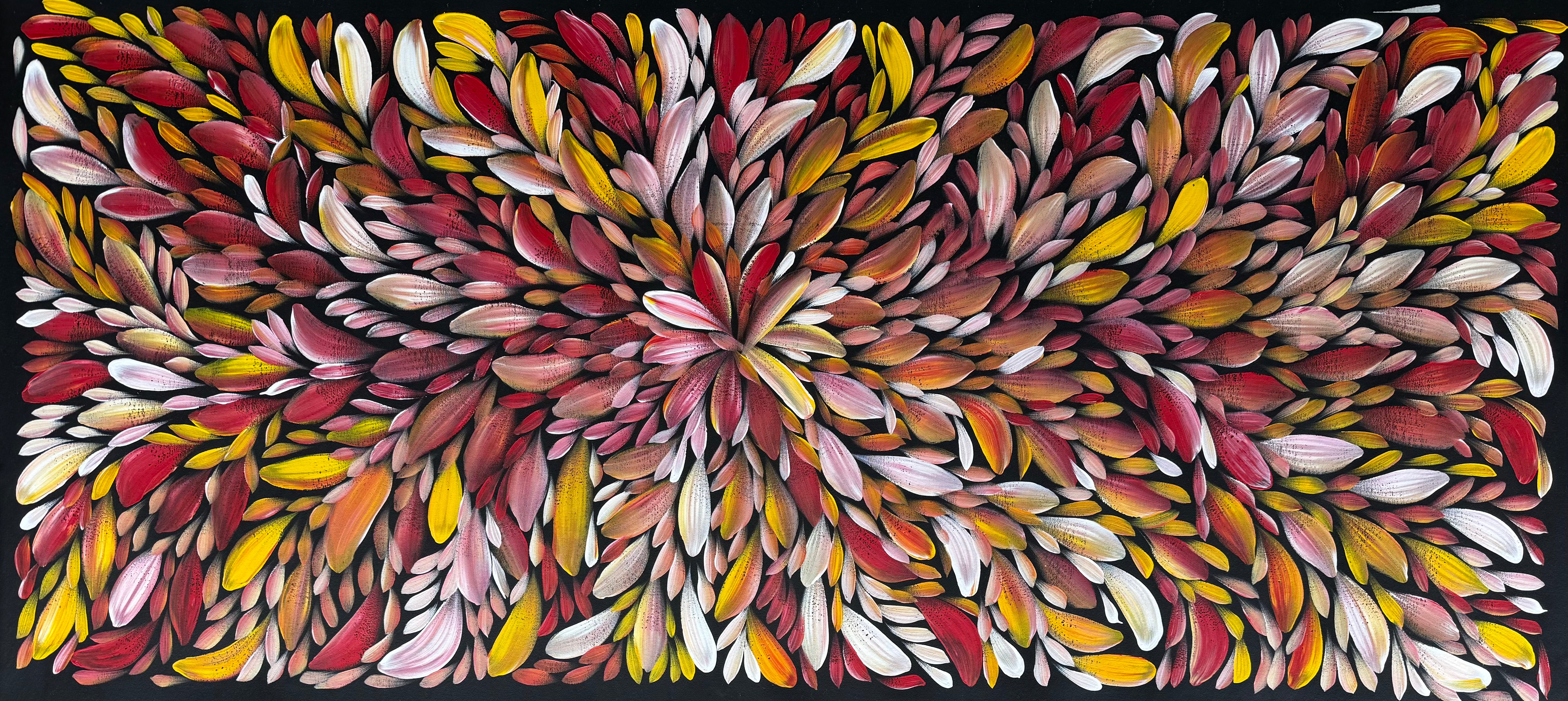 Louise Numina Napananka - Bush Medicine Leaves .57-63