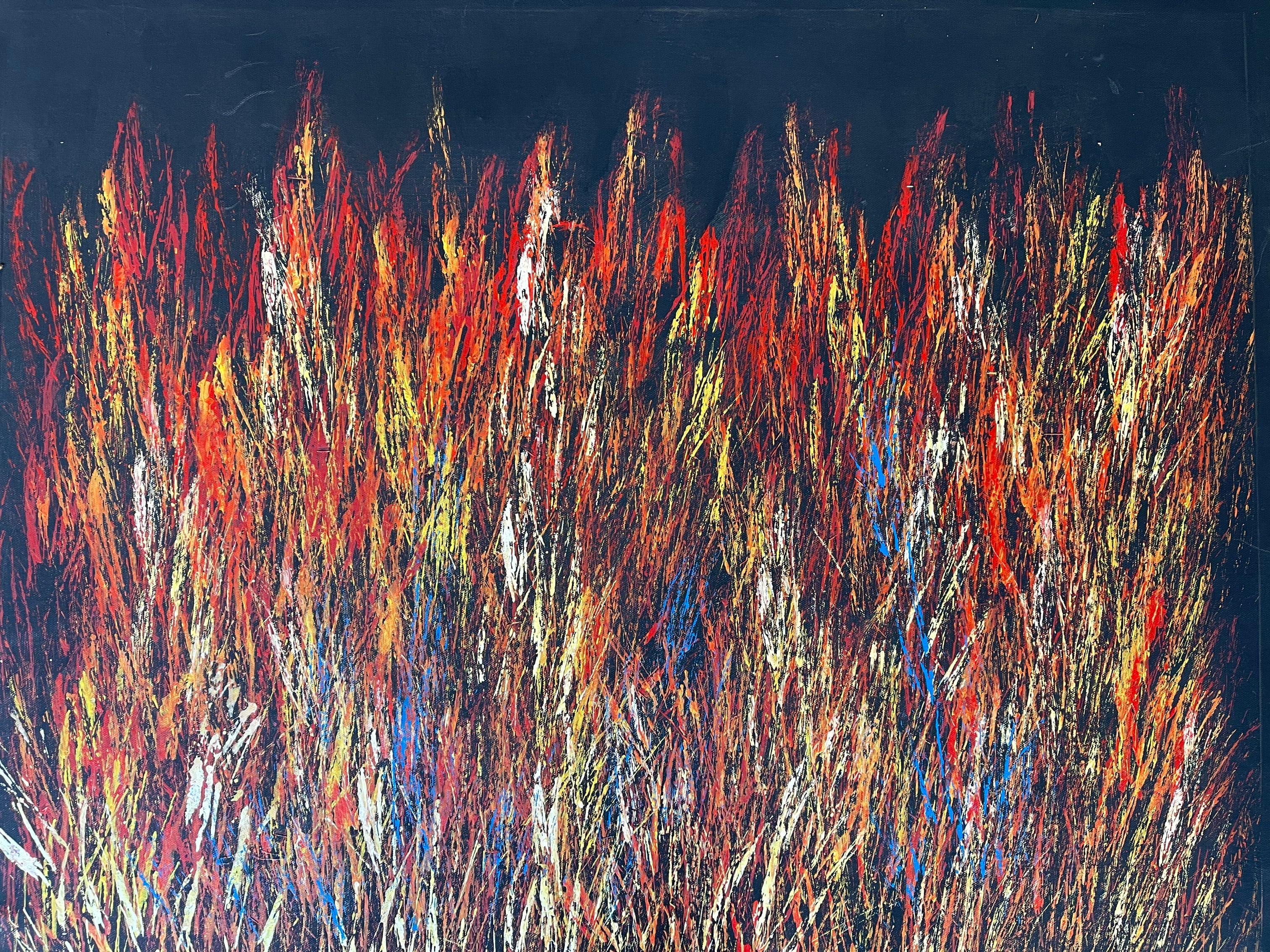 Reggie Sultan - 91x70cm - Bushfire Dreaming .55-4