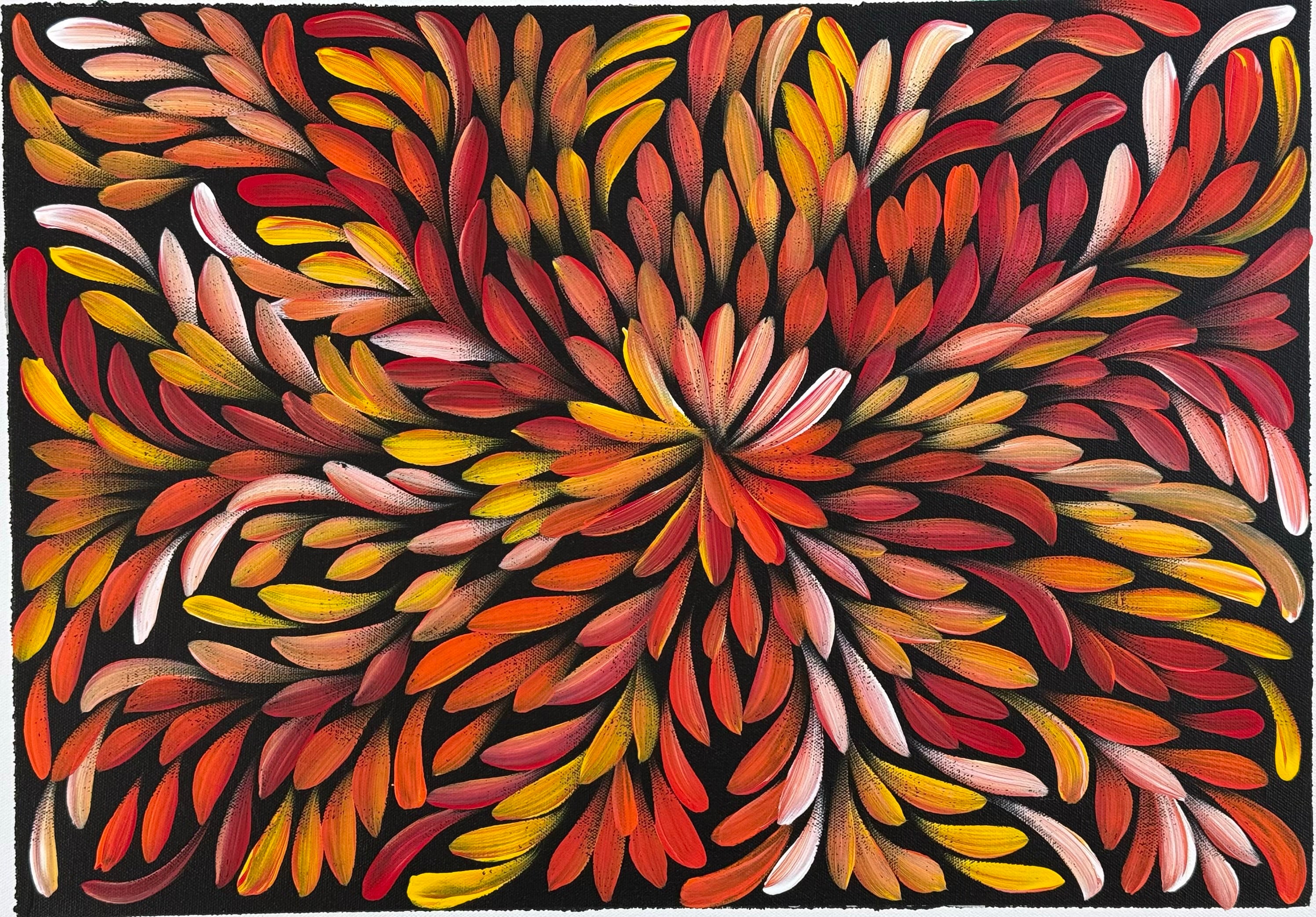 Louise Numina Napananka - Bush Medicine Leaves .60-23