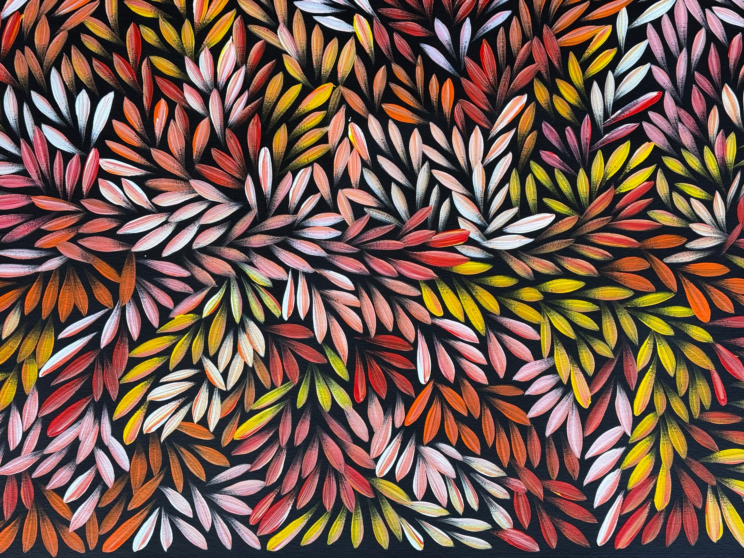 Sharon Numina - Bush Medicine Leaves .50-15
