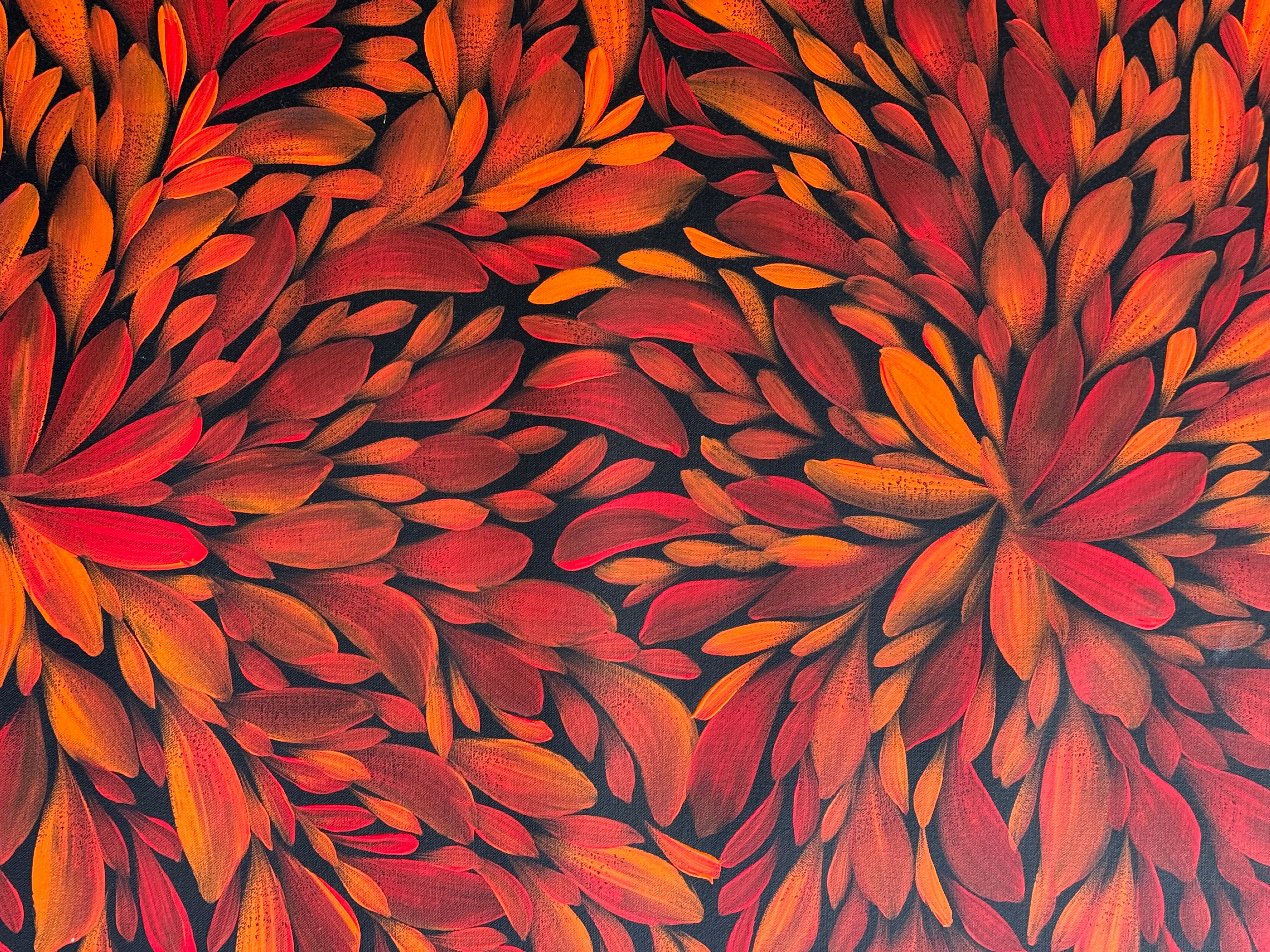 Louise Numina Napananka - Bush Medicine Leaves .57-57