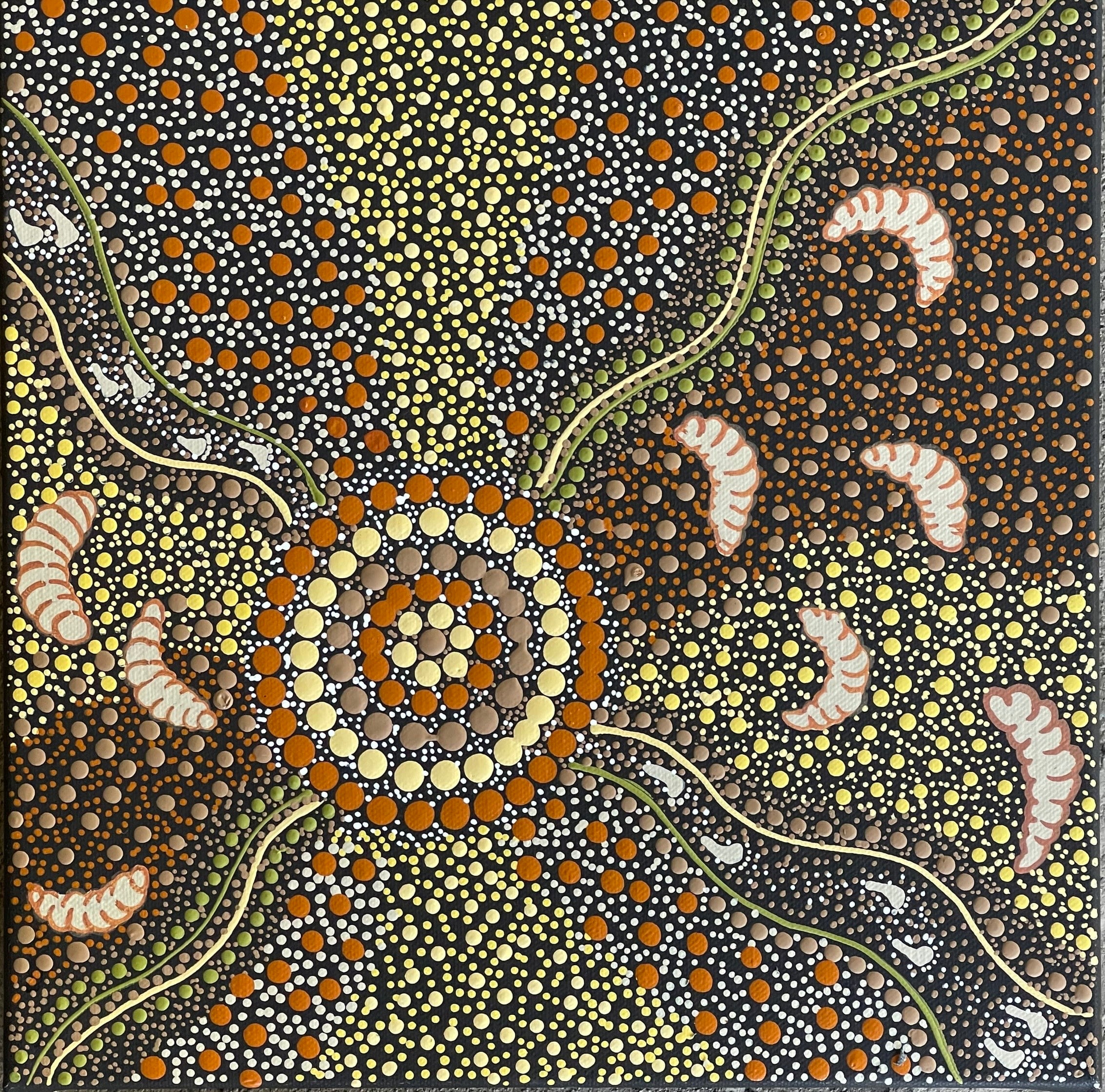 Deidre Burgoyne Rosier - Women Out Gathering Witchetty Grubs from the Acacia Bush - 30x30cm .90-14 *stretched ready to hang*