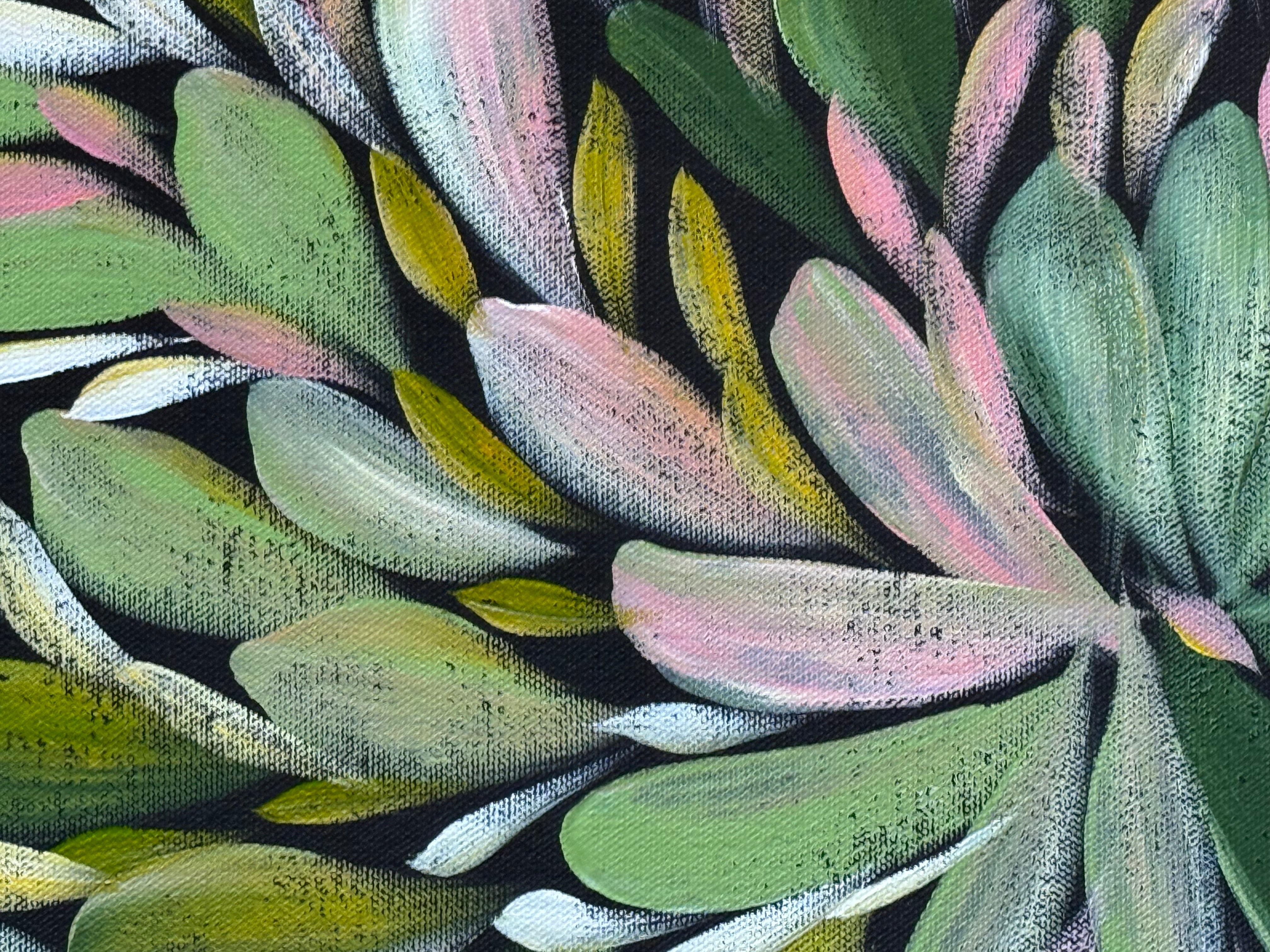 Louise Numina Napananka - Bush Medicine Leaves .31-17