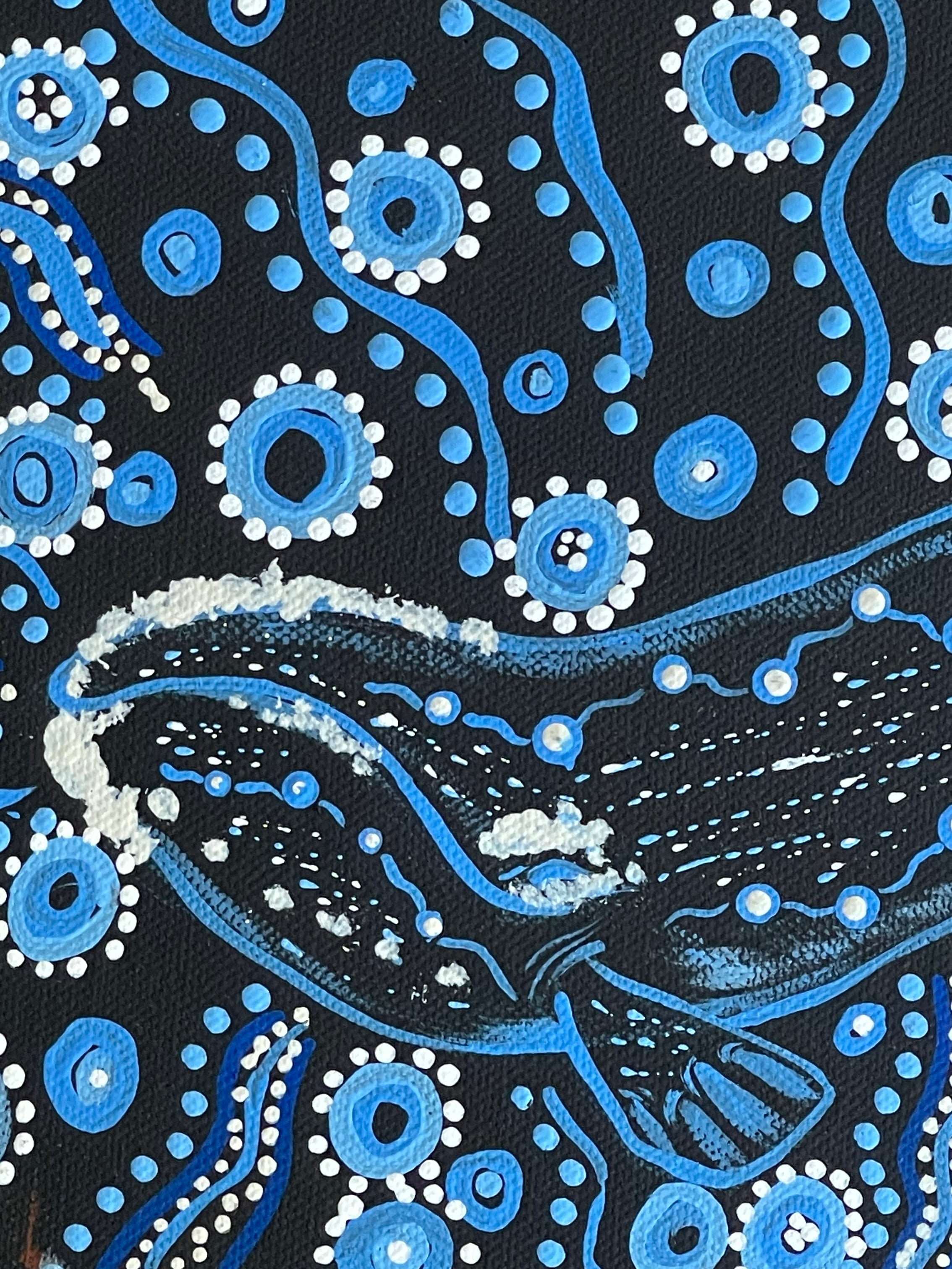 Deidre Burgoyne Rosier - Whale Dreaming - 30x30cm .90-6 *stretched ready to hang*