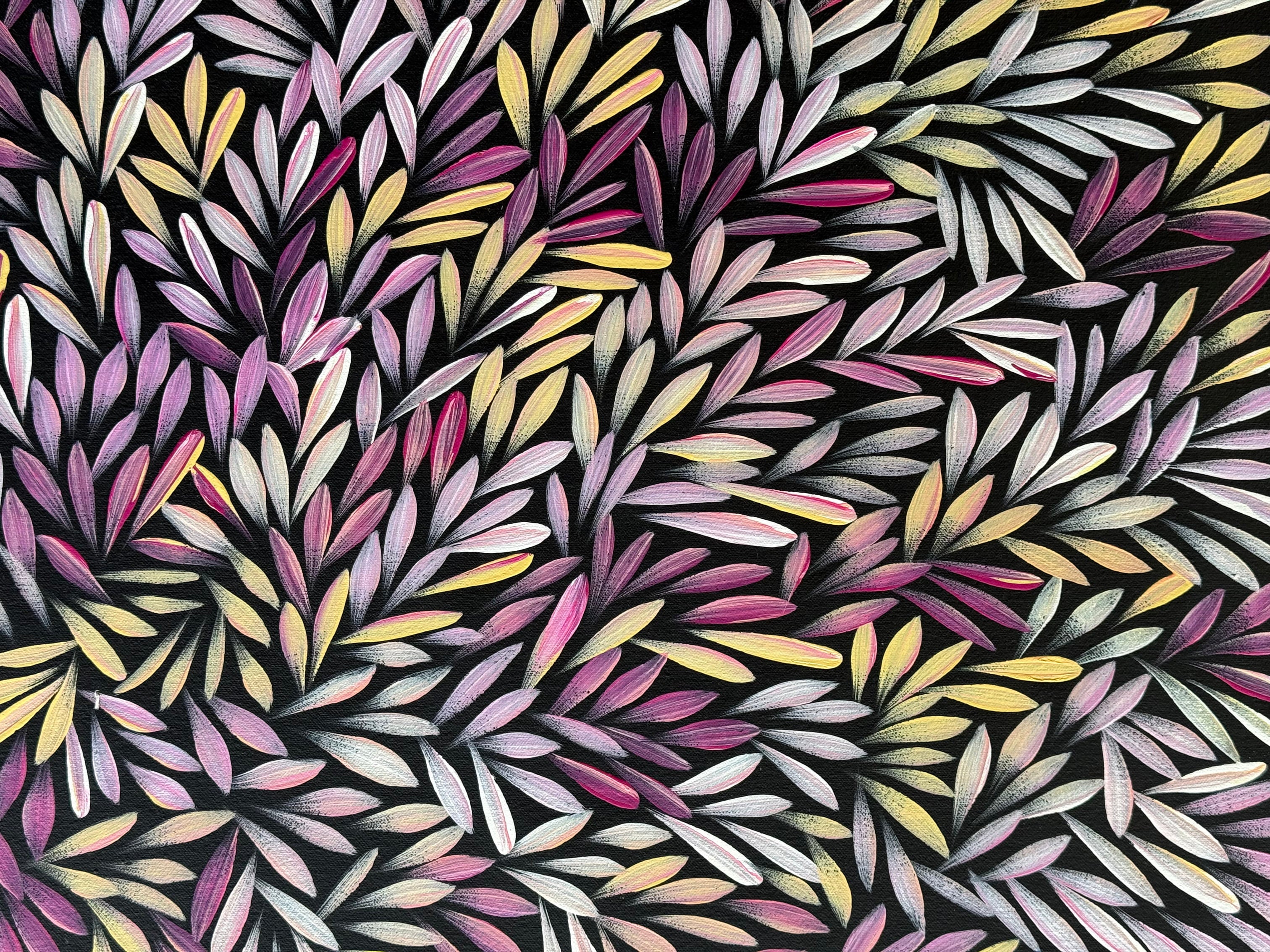 Sharon Numina - Bush Medicine Leaves - 69x92cm .14-44