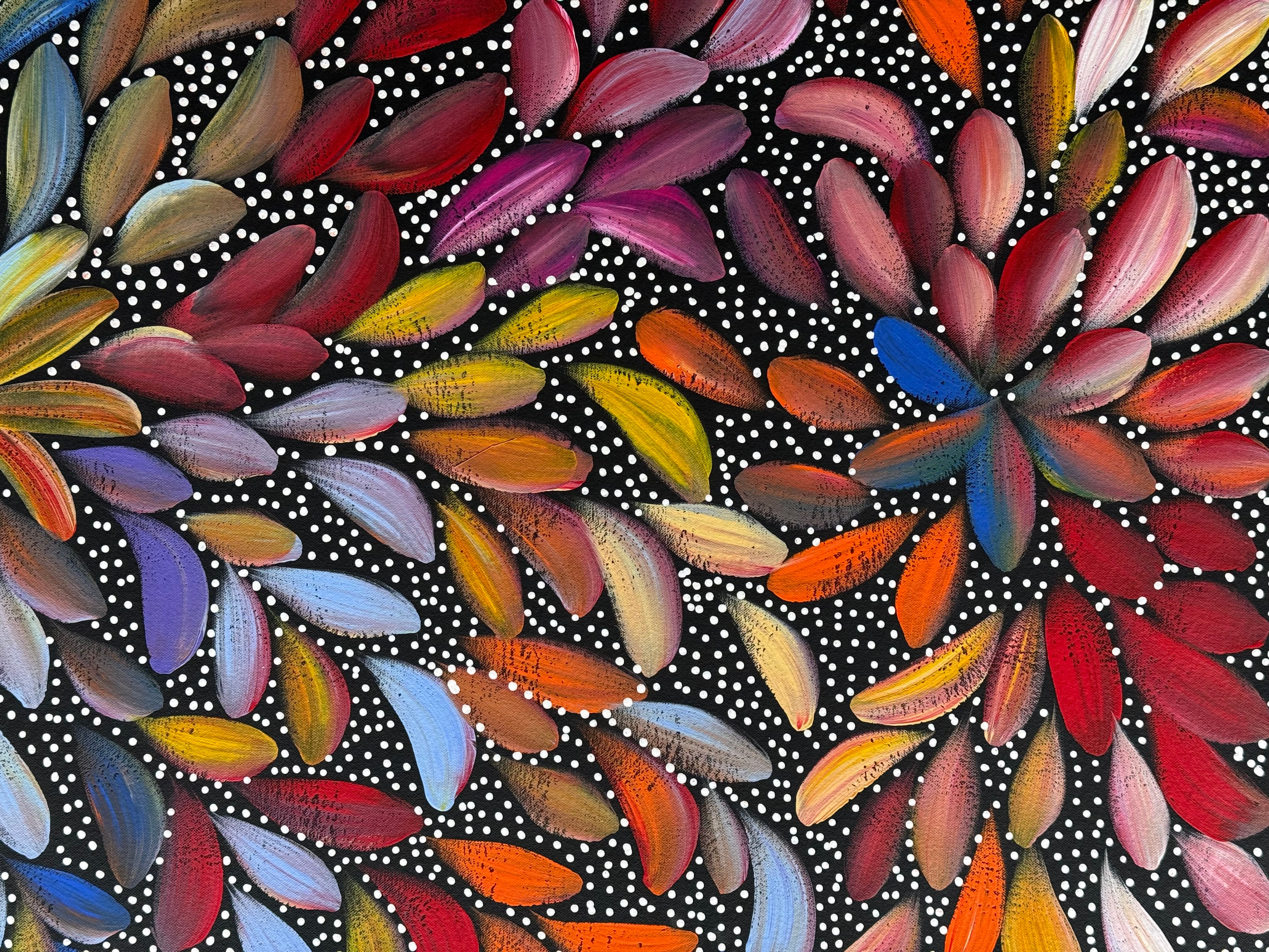 Louise Numina Napananka - Bush Medicine Leaves and Seeds .29-6