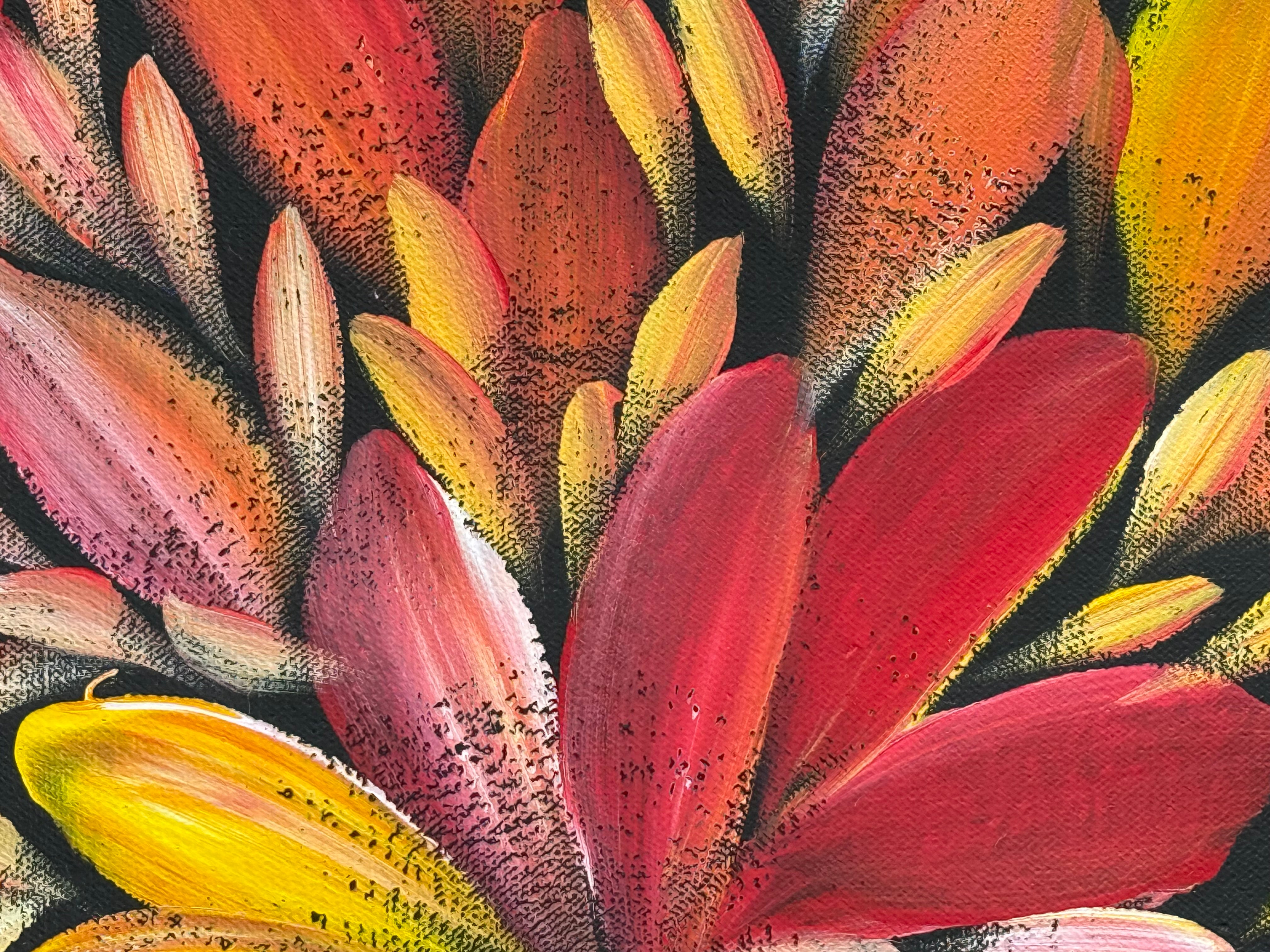 Louise Numina Napananka - Bush Medicine Leaves .75-15