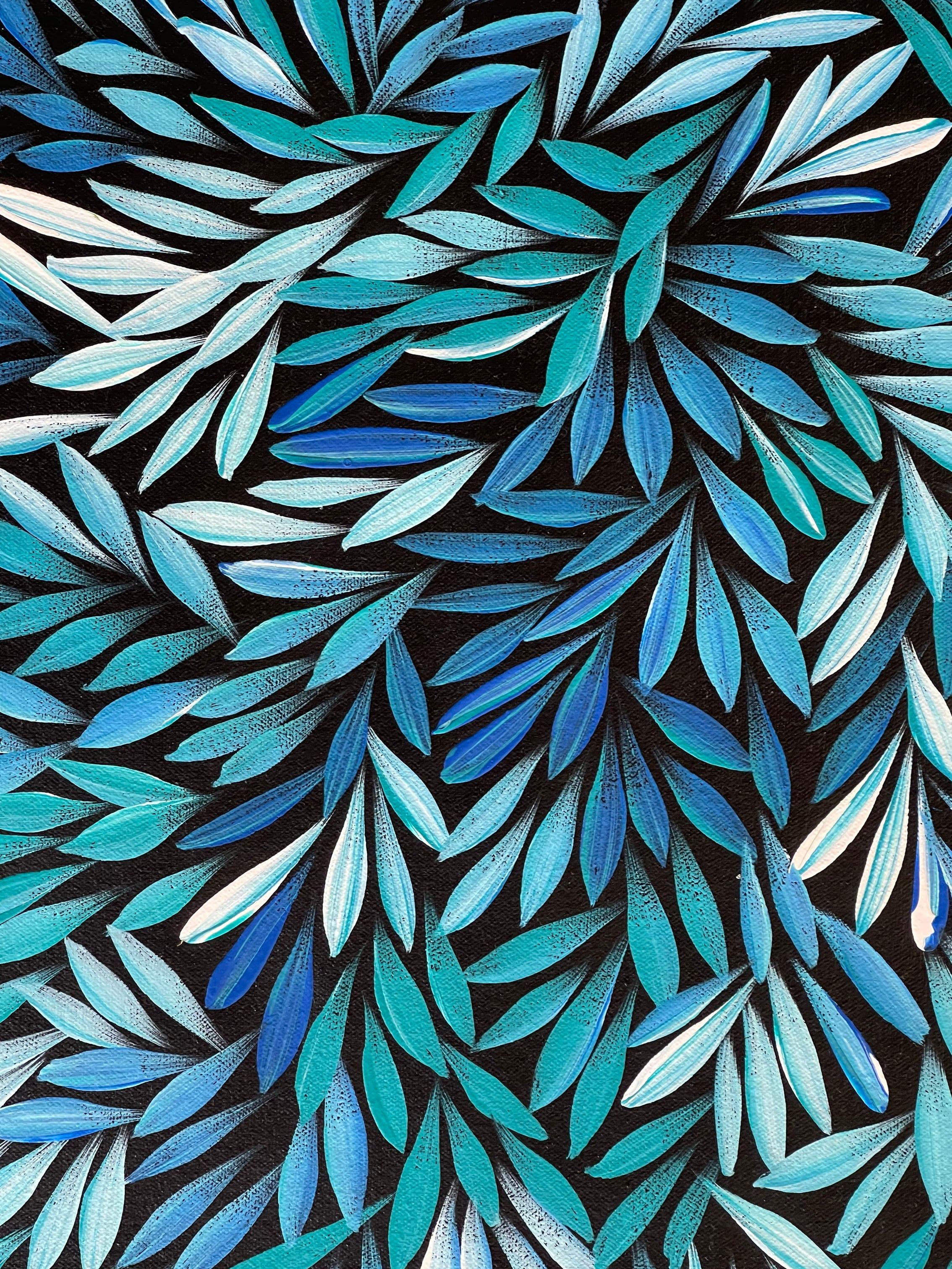 Sharon Numina - Bush Medicine Leaves - 59x60cm .92-2