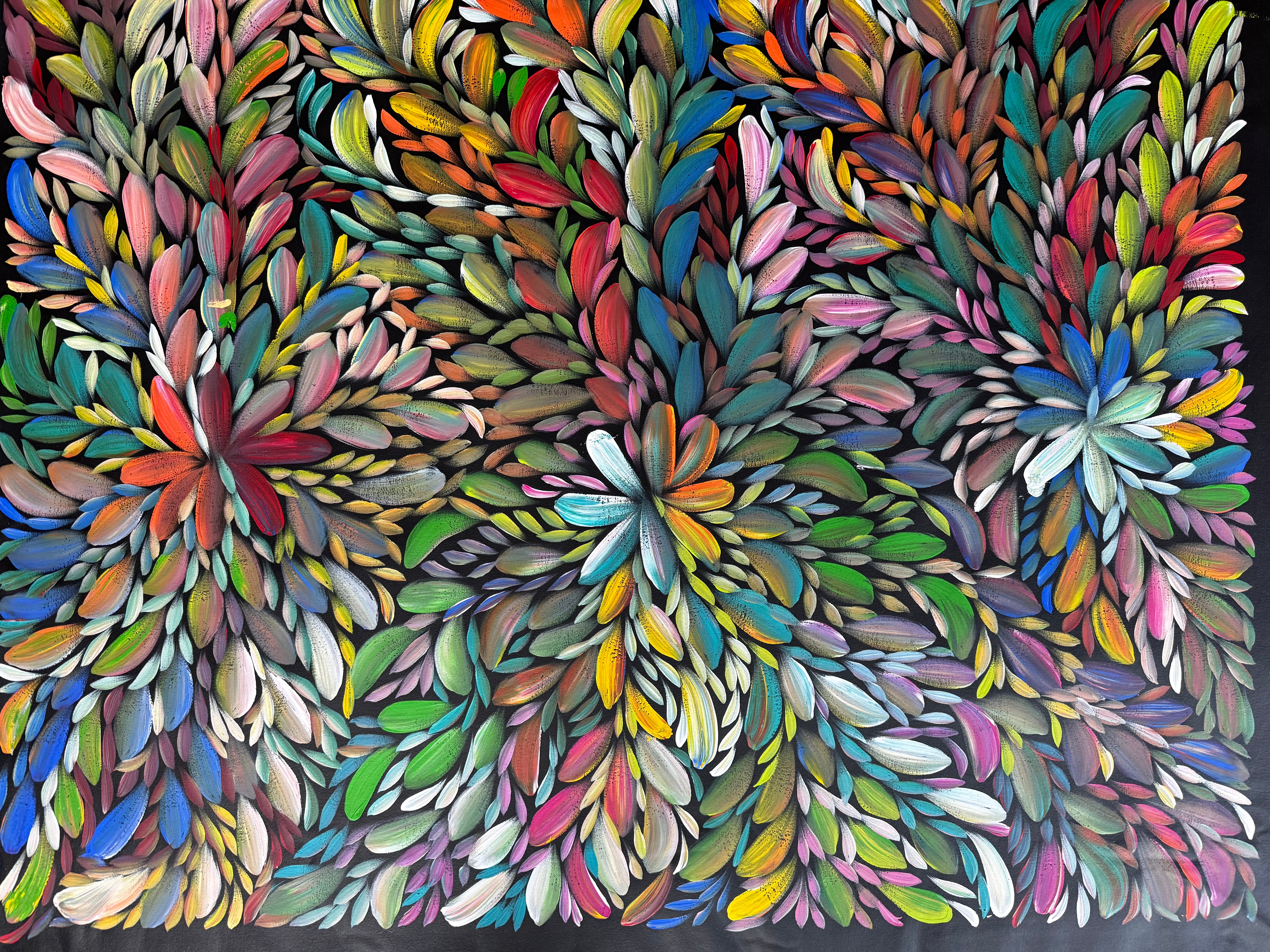 Louise Numina Napananka - Bush Medicine Leaves .16-4