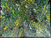 Louise Numina Napananka - Bush Medicine Leaves .22-18