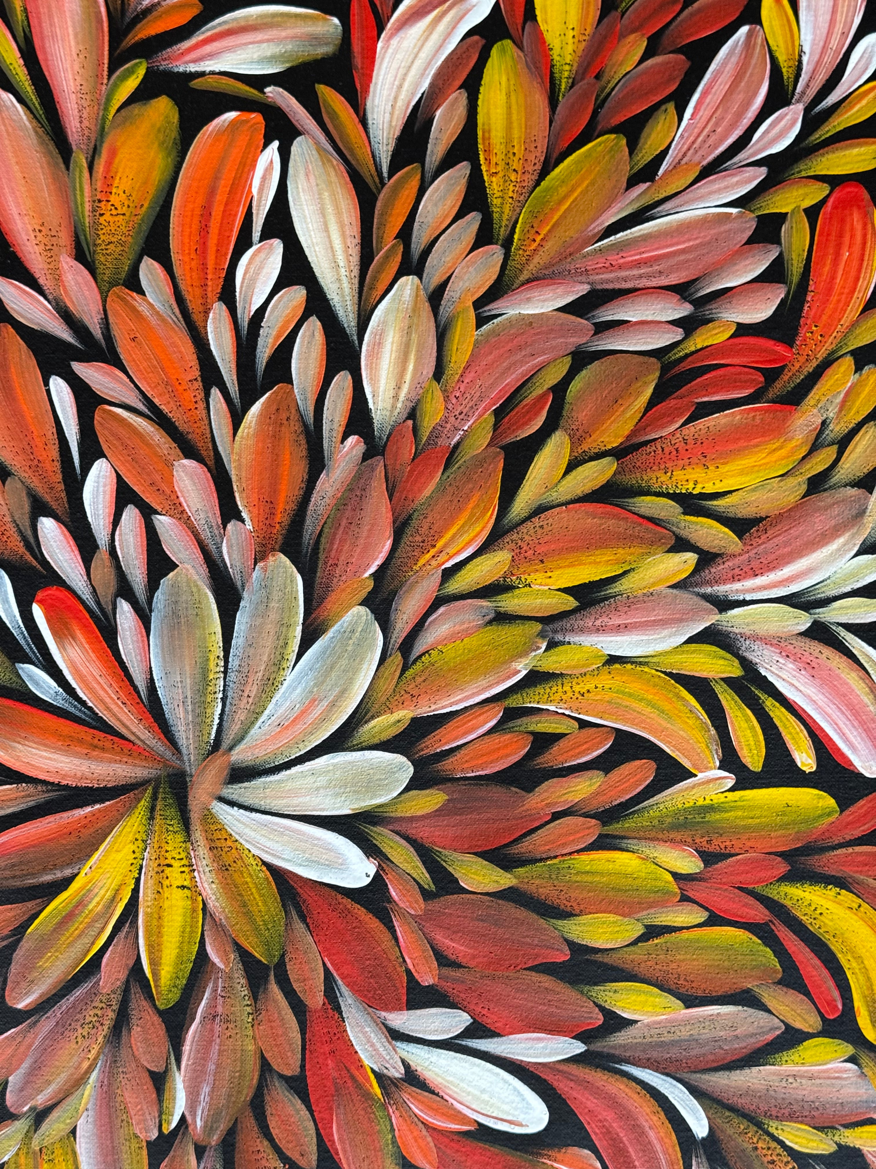 Louise Numina Napananka - Bush Medicine Leaves .16-57