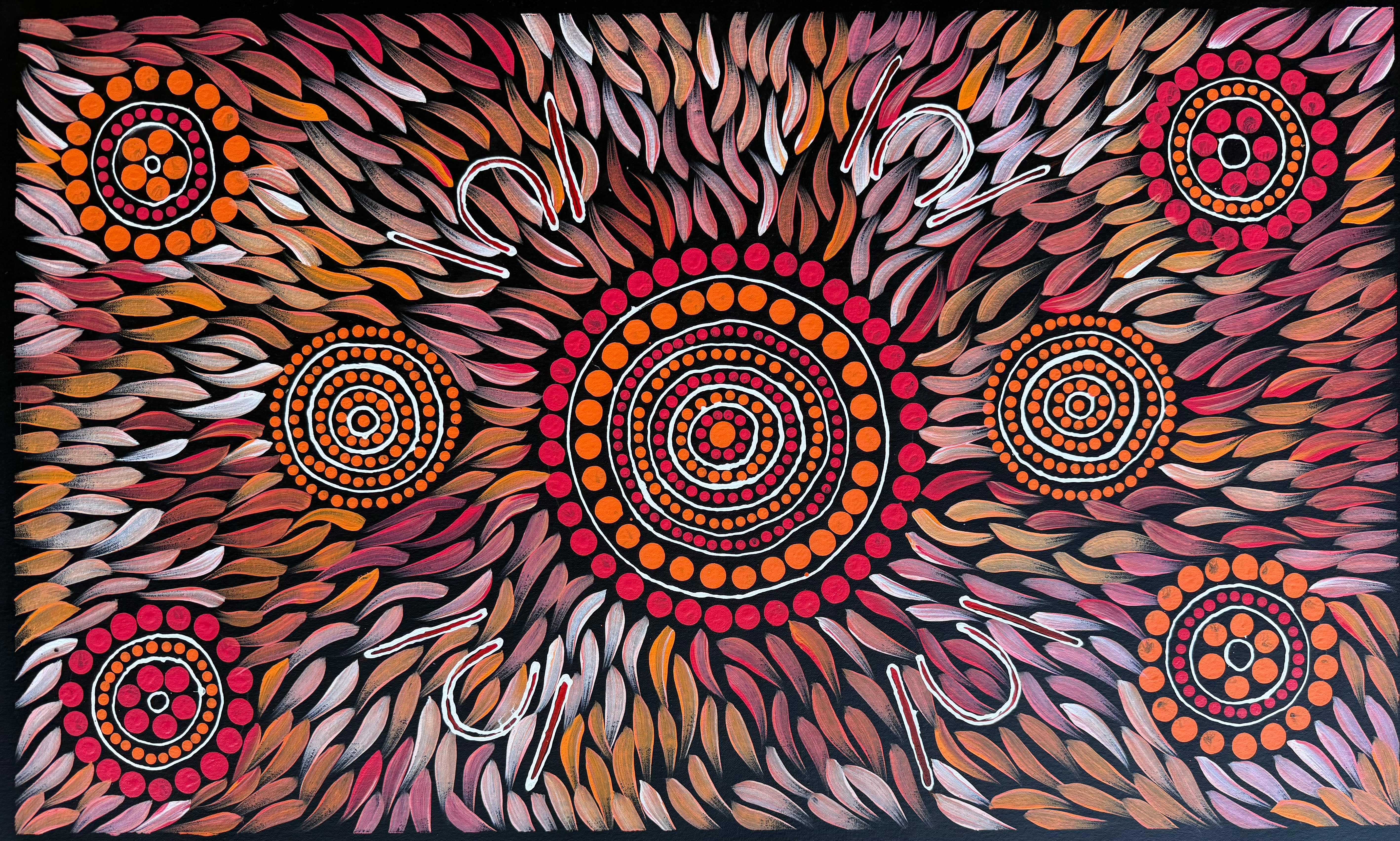 Sabina Gorey - Bush Medicine Leaves .04-8