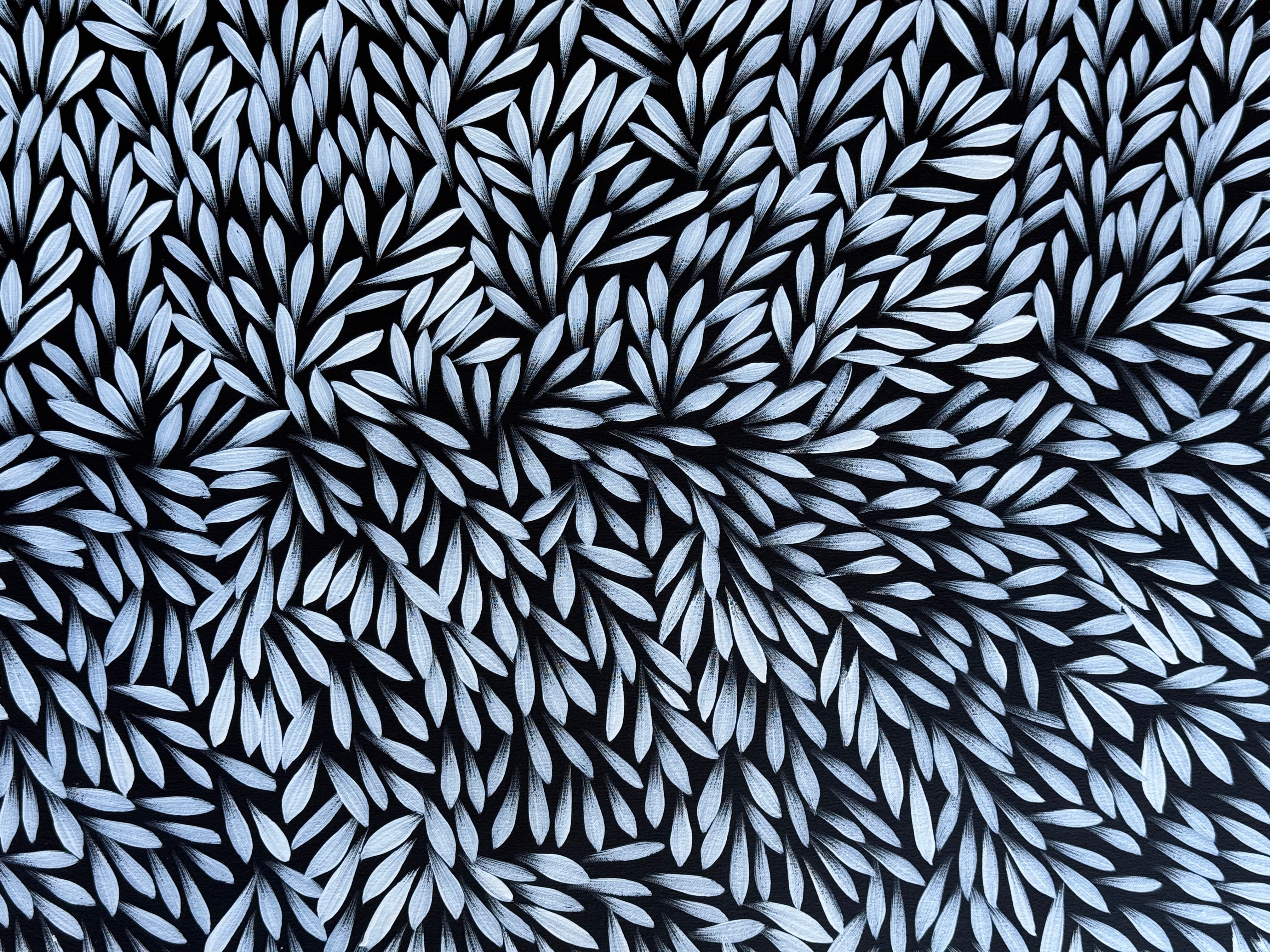 Sharon Numina - Bush Medicine Leaves .50-8