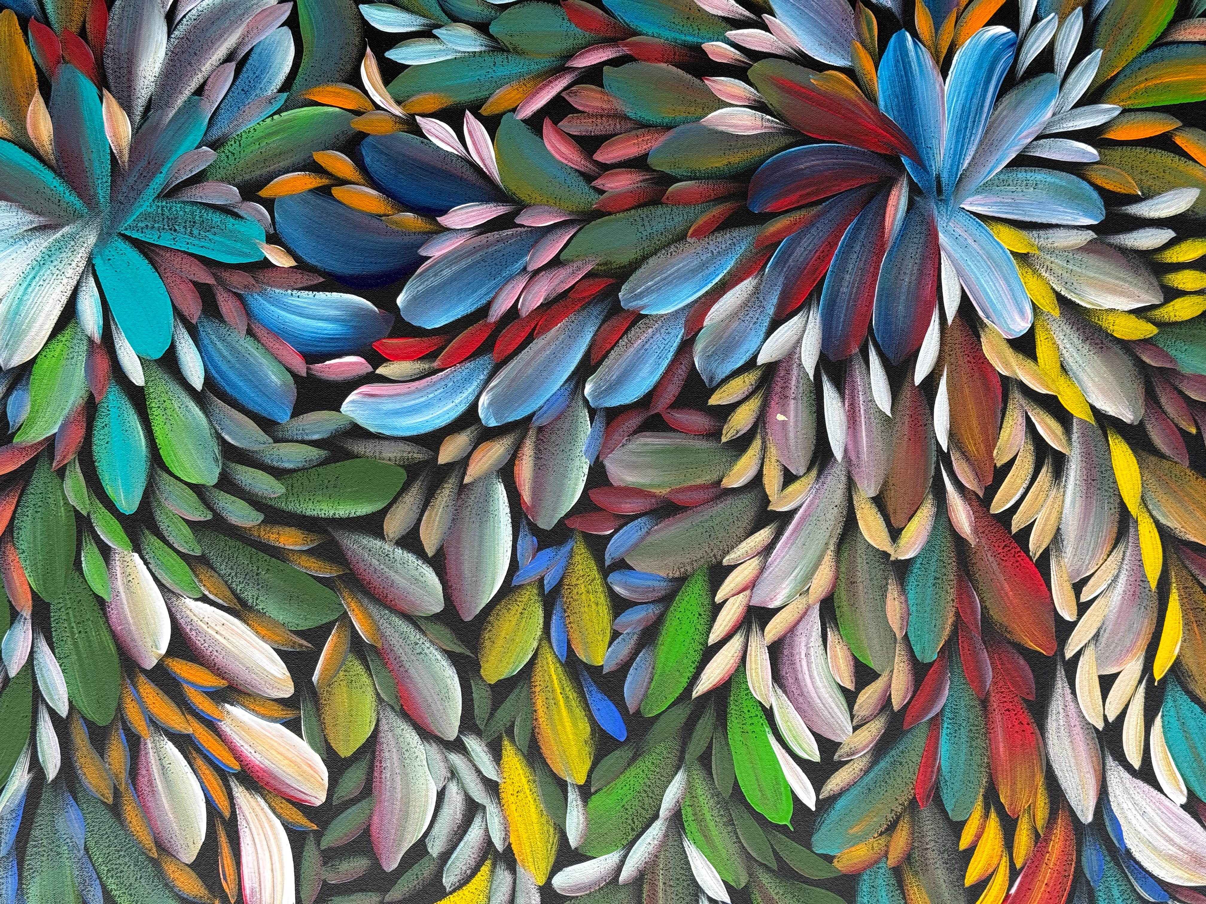 Louise Numina Napananka - Bush Medicine Leaves .22-38