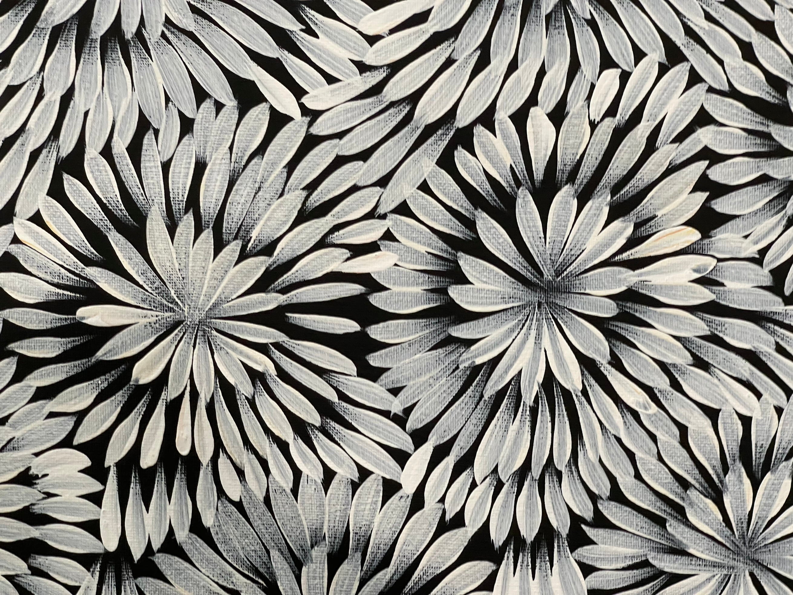 Caroline Numina - Bush Flowers - 52x36cm .25-22