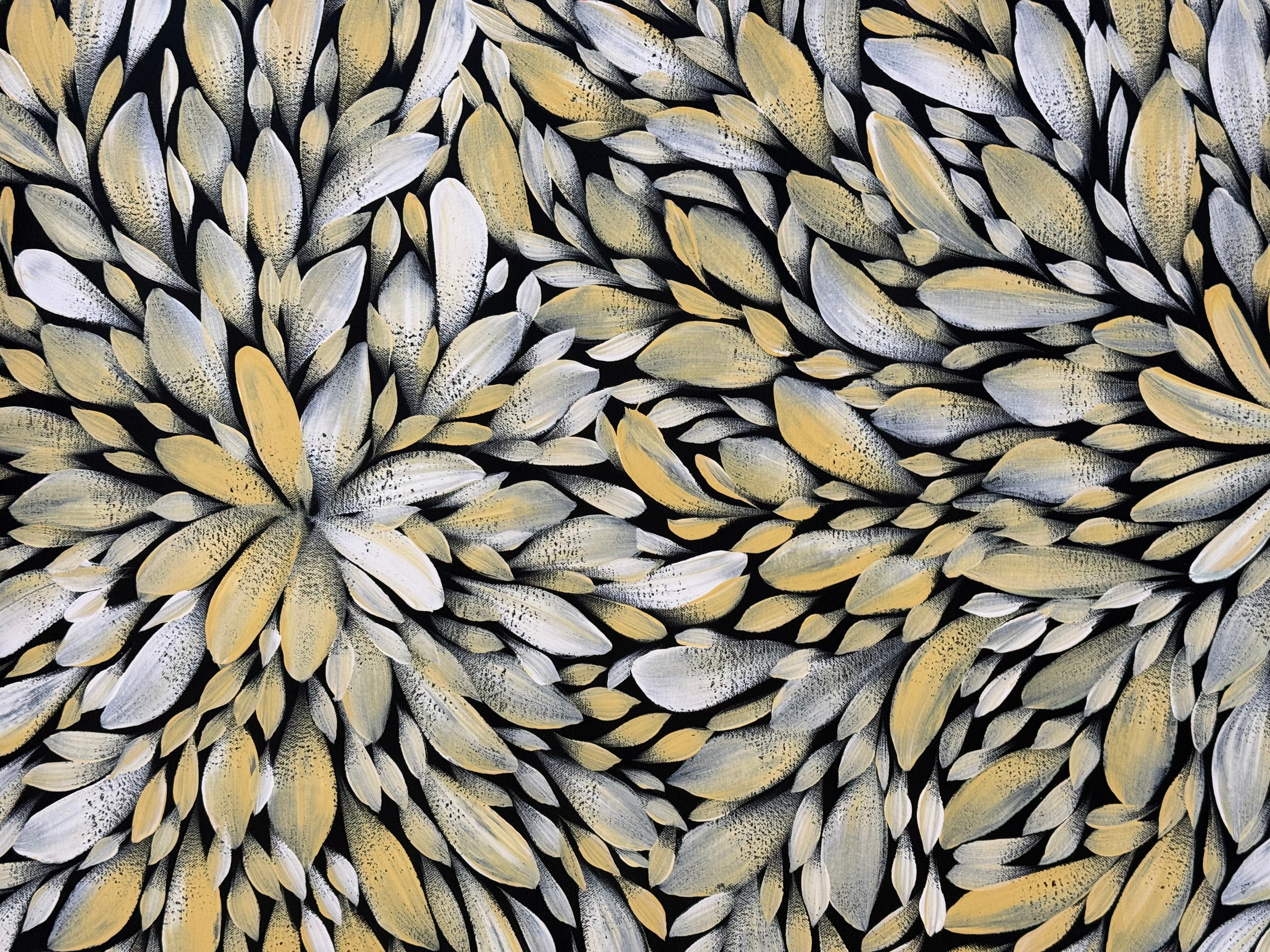 Louise Numina Napananka - Bush Medicine Leaves .21-8