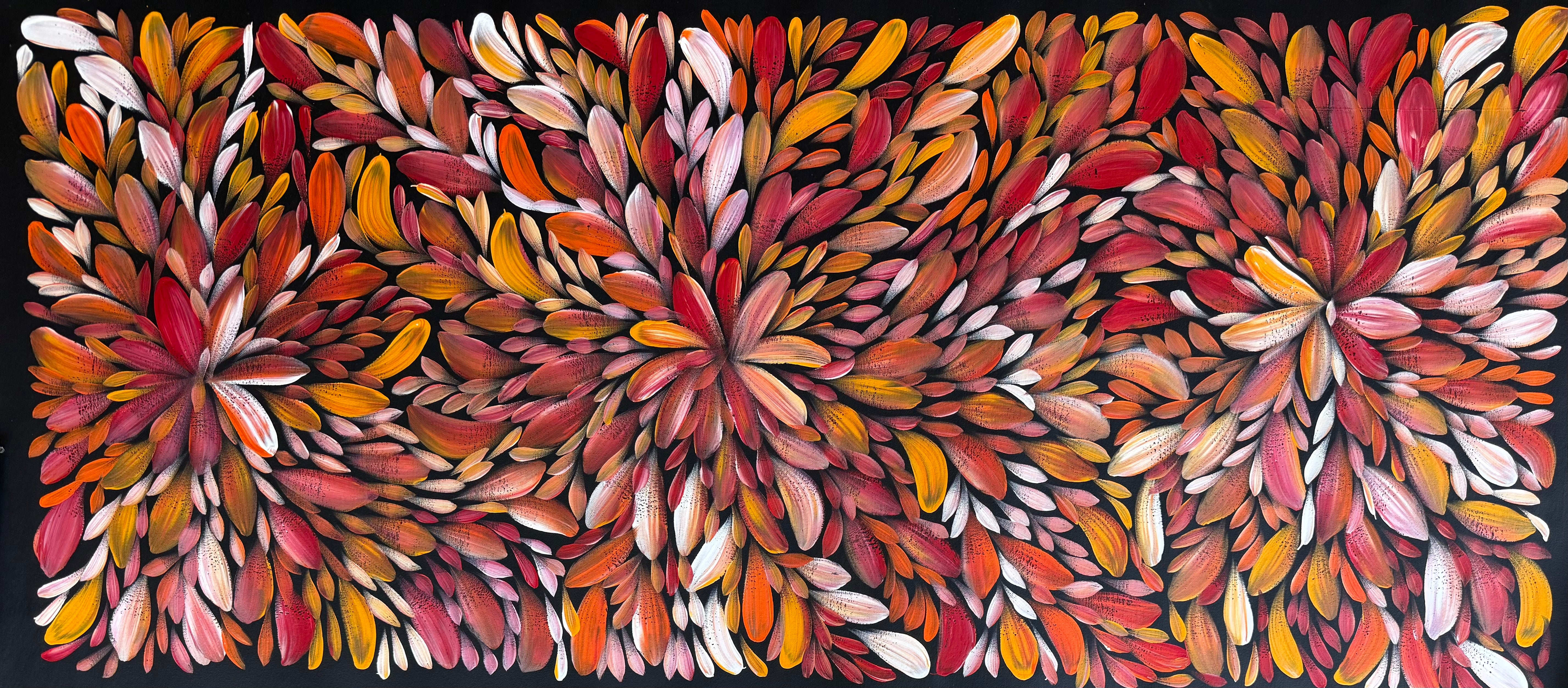 Louise Numina Napananka - Bush Medicine Leaves .57-50