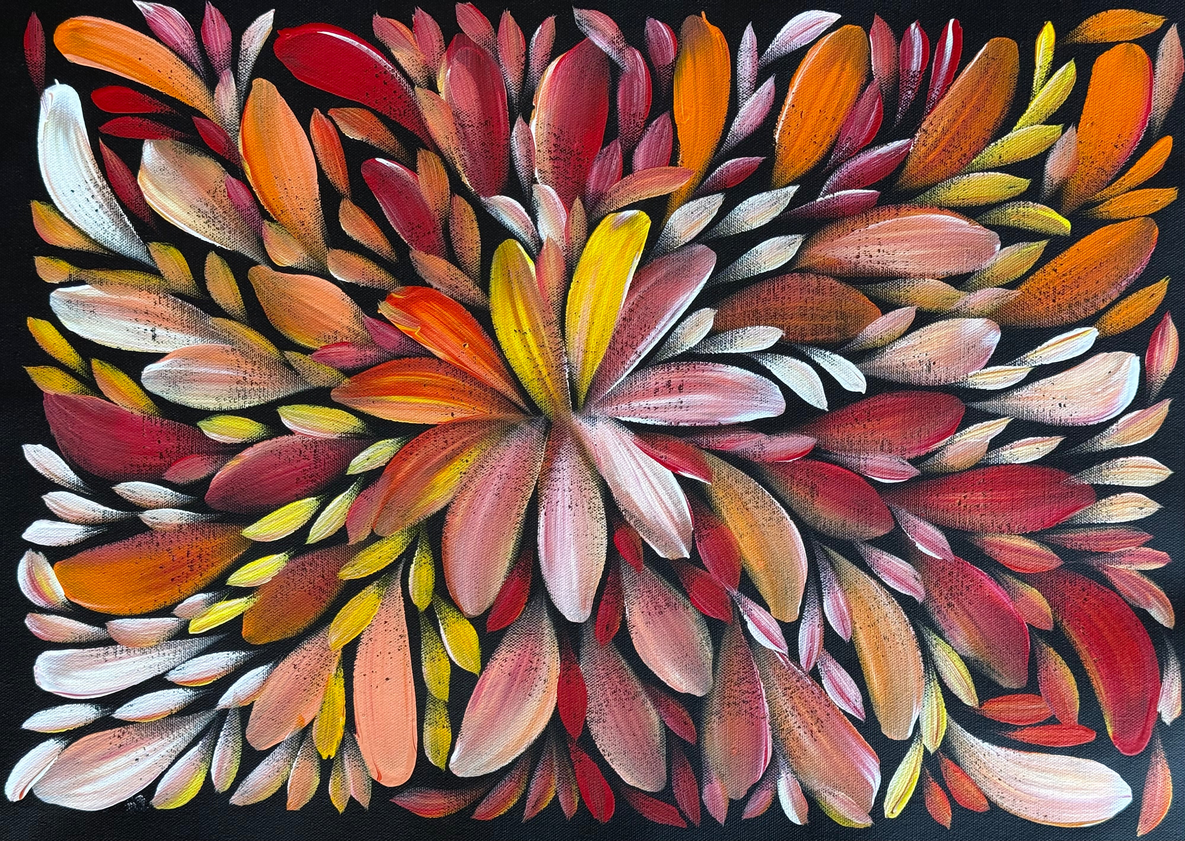 Louise Numina Napananka - Bush Medicine Leaves .24-9