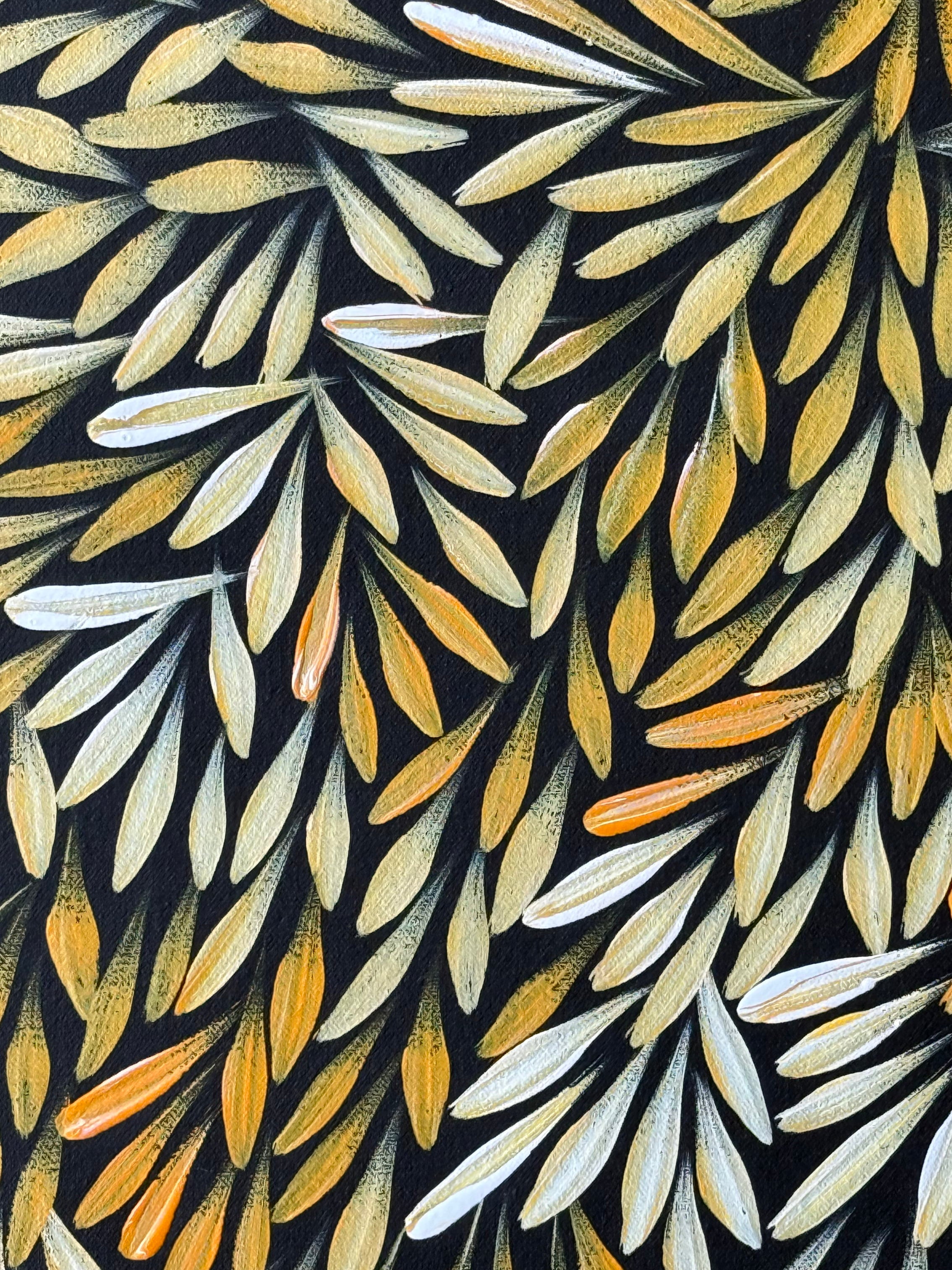 Sharon Numina - Bush Medicine Leaves - 65x52cm .02-25