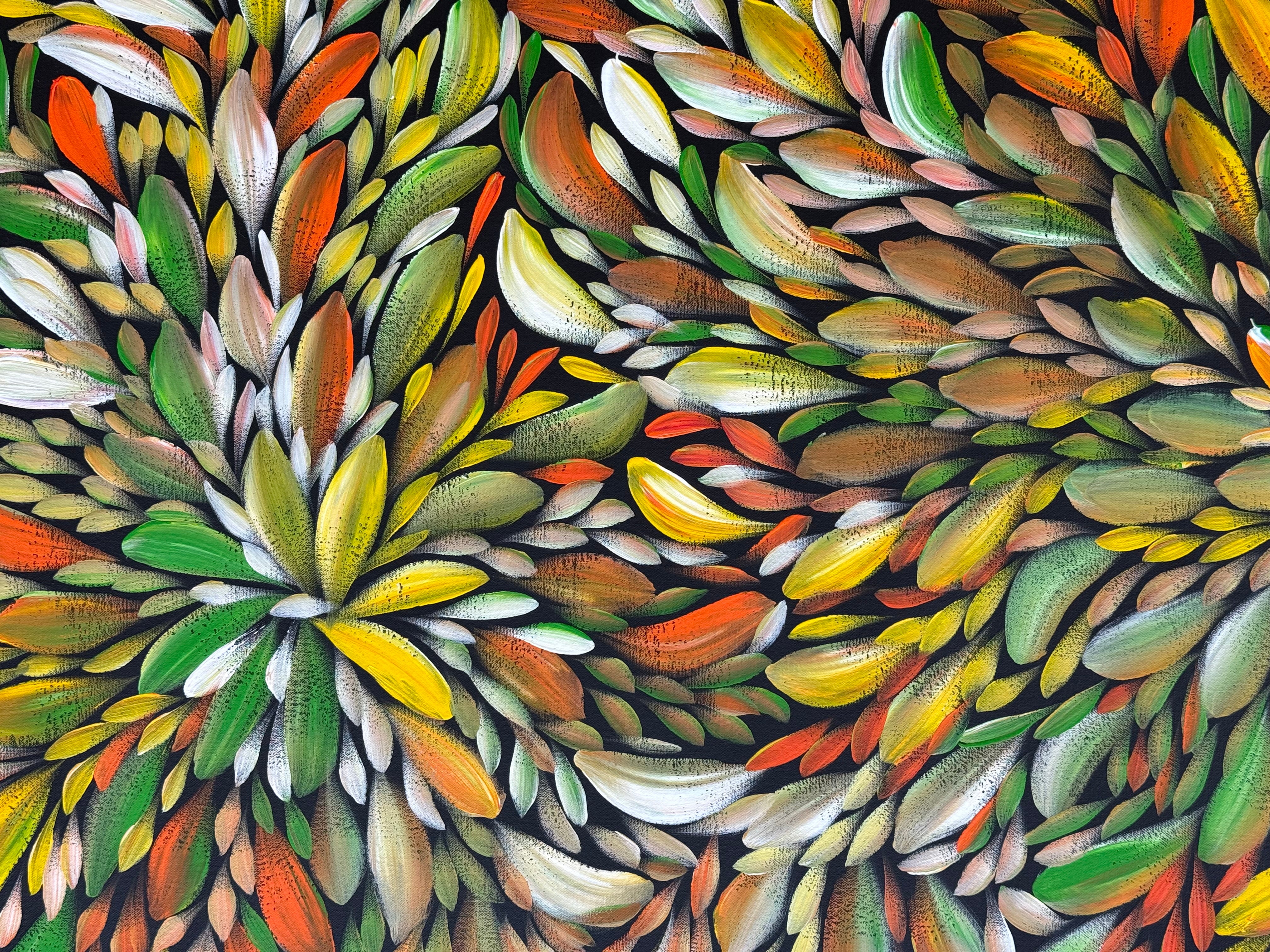 Louise Numina Napananka - Bush Medicine Leaves .57-54