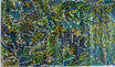Caroline Numina - Seeded Bush Medicine Leaves .61-1