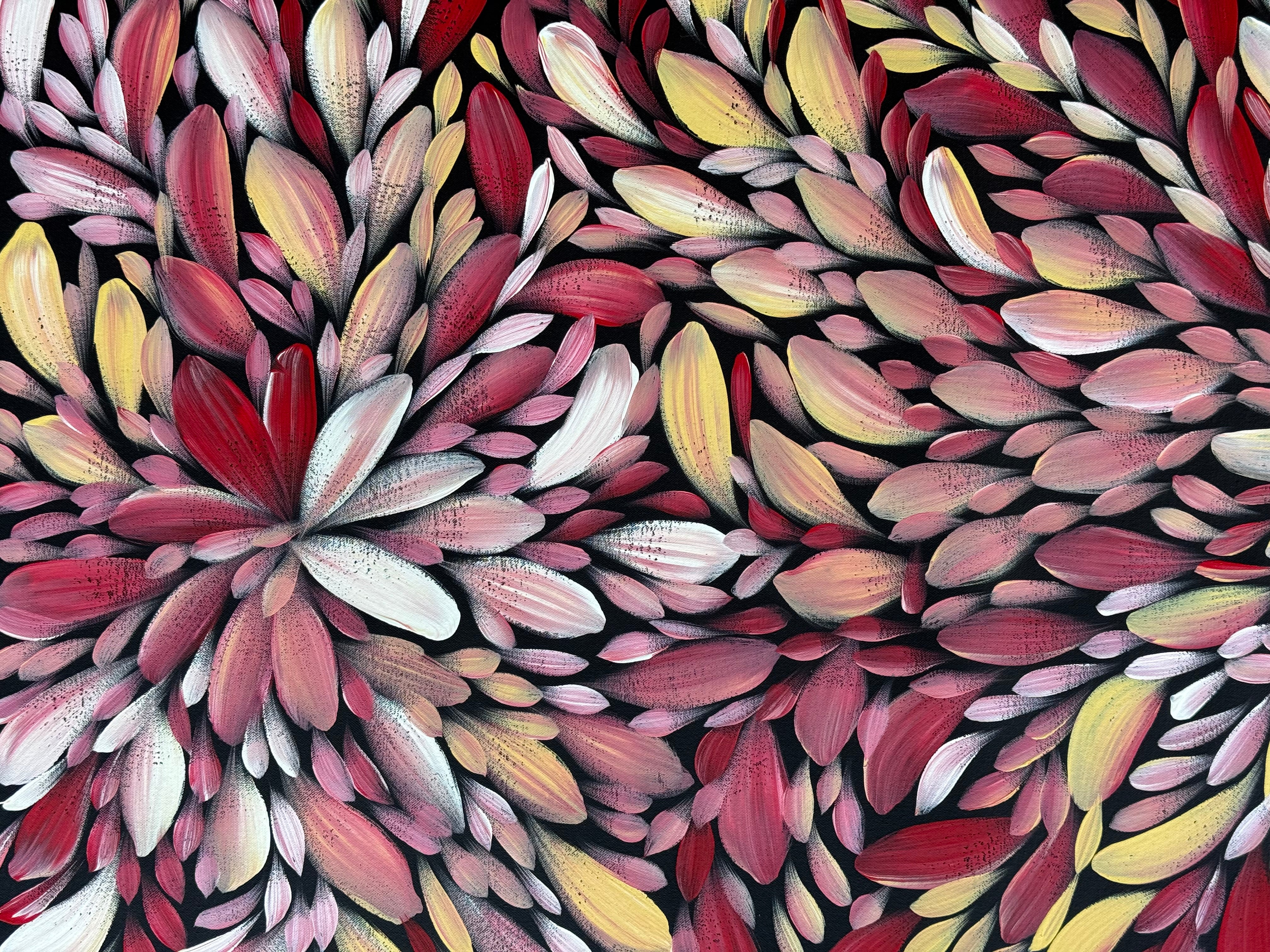 Louise Numina Napananka - Bush Medicine Leaves .57-49