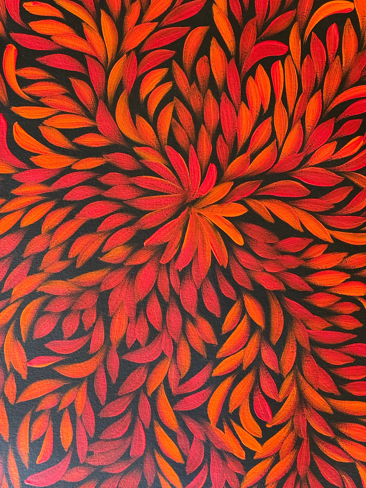 Louise Numina Napananka - Bush Medicine Leaves .36-15