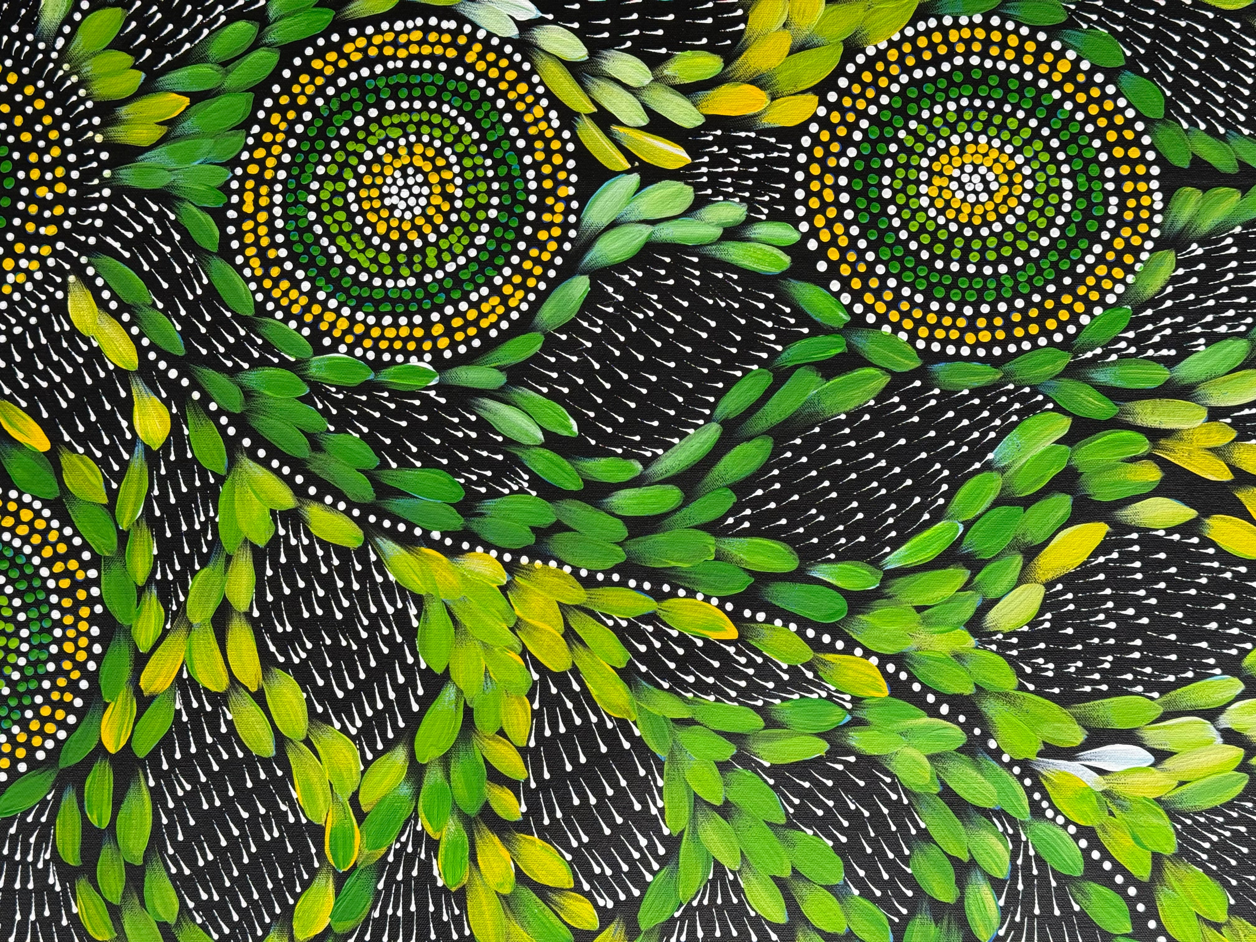 Scott Duggie - My Mother's Dreaming .67-8