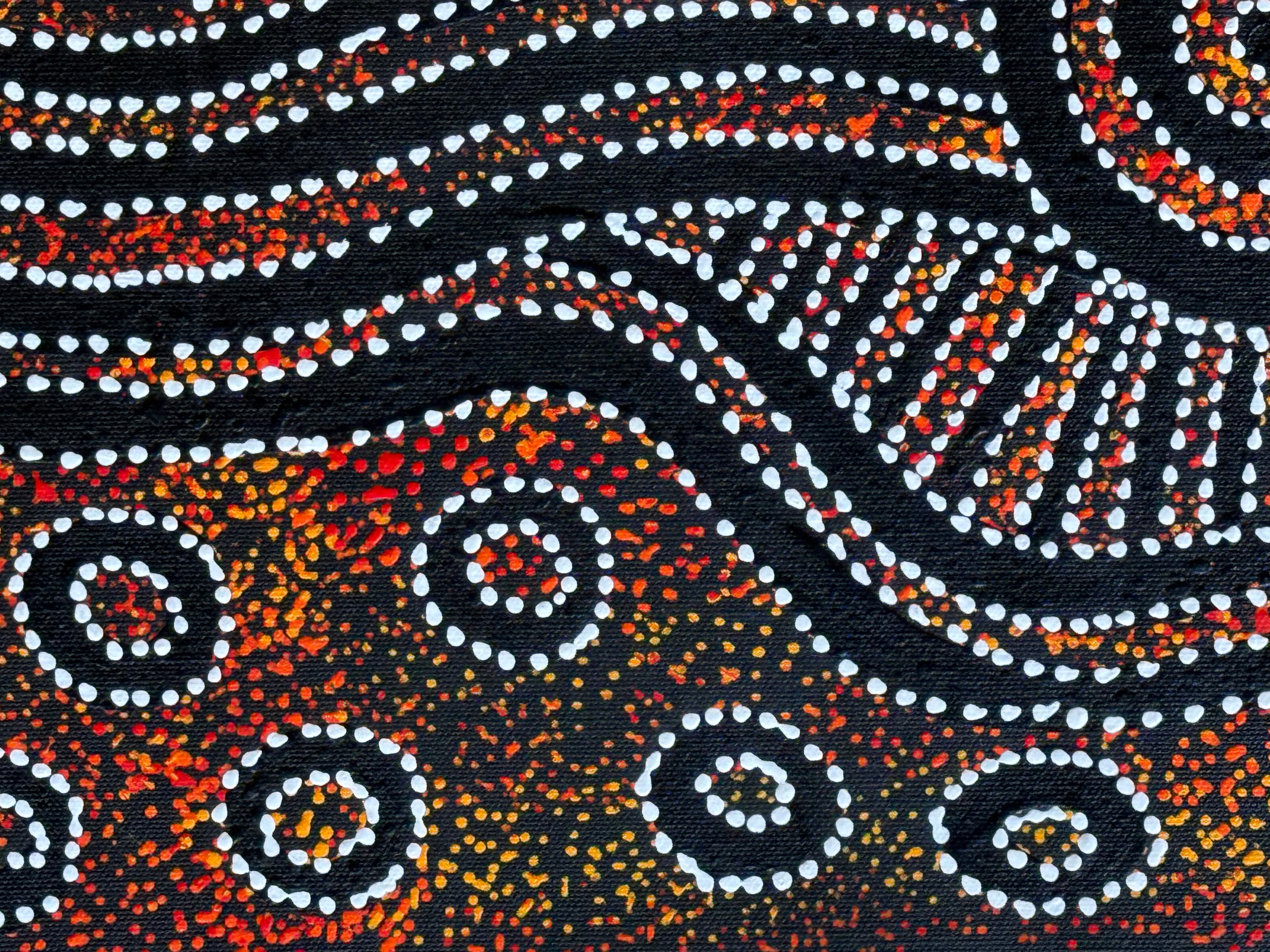 Sharon Numina - Emu Dreaming .48-5