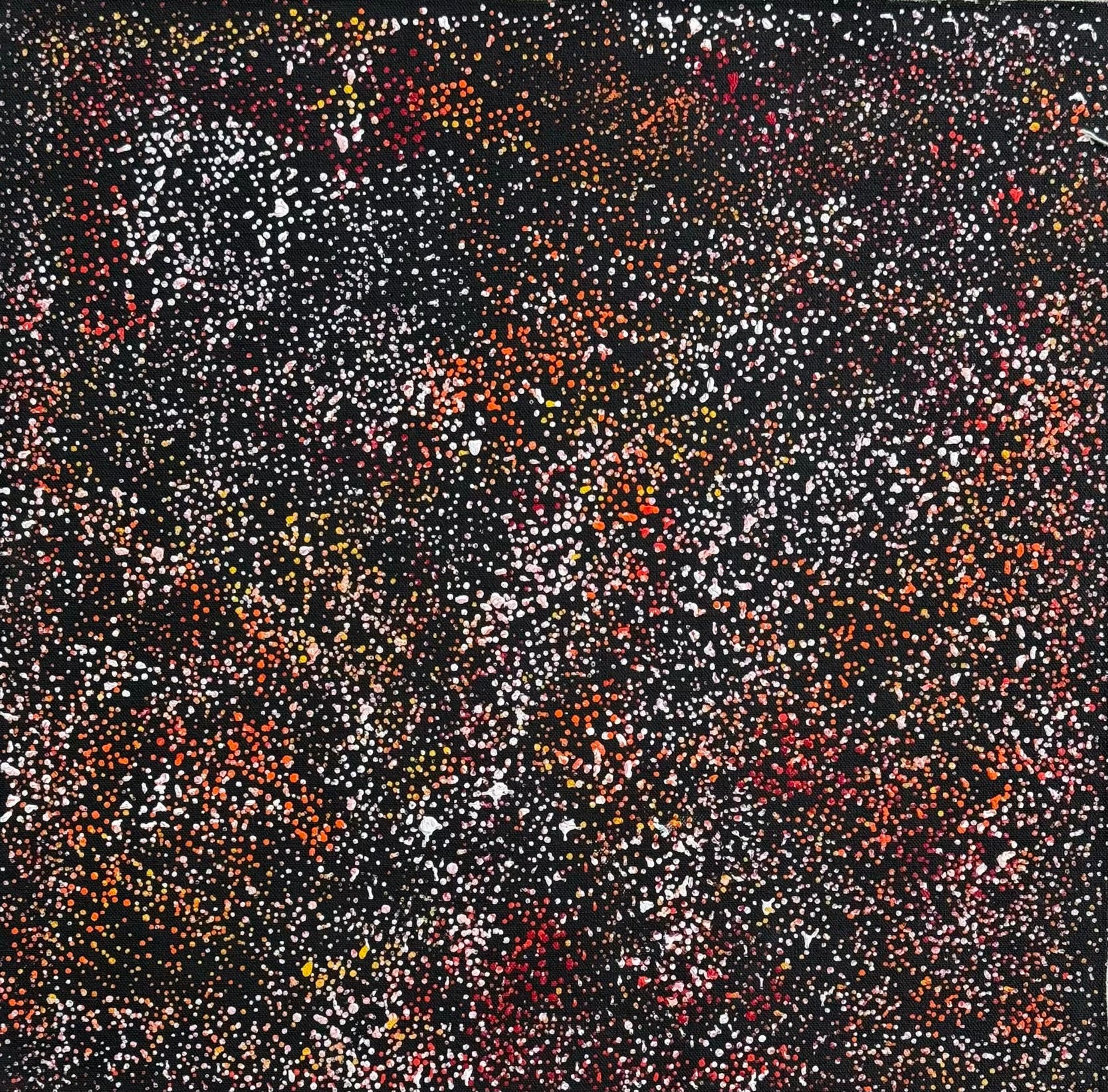 Louise Numina Napananka - Thorny Lizard .65-6