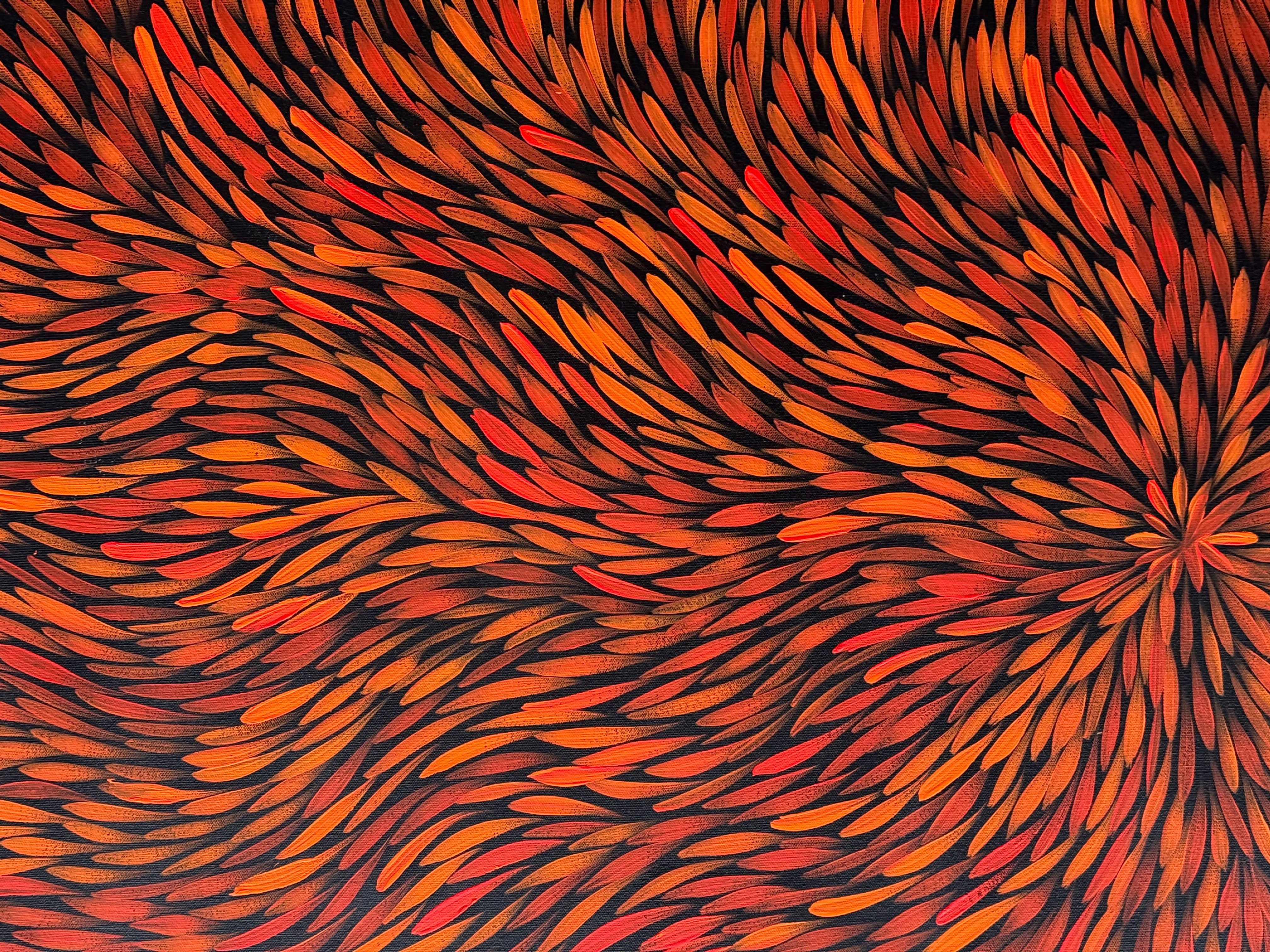 Sharon Numina - Bush Medicine Leaves .68-10