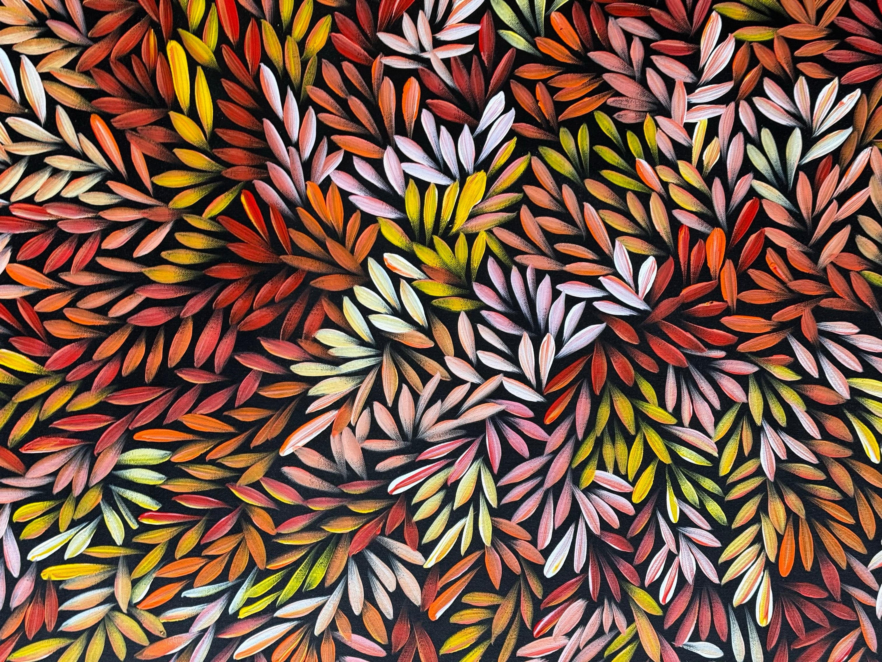 Sharon Numina - Bush Medicine Leaves .50-5
