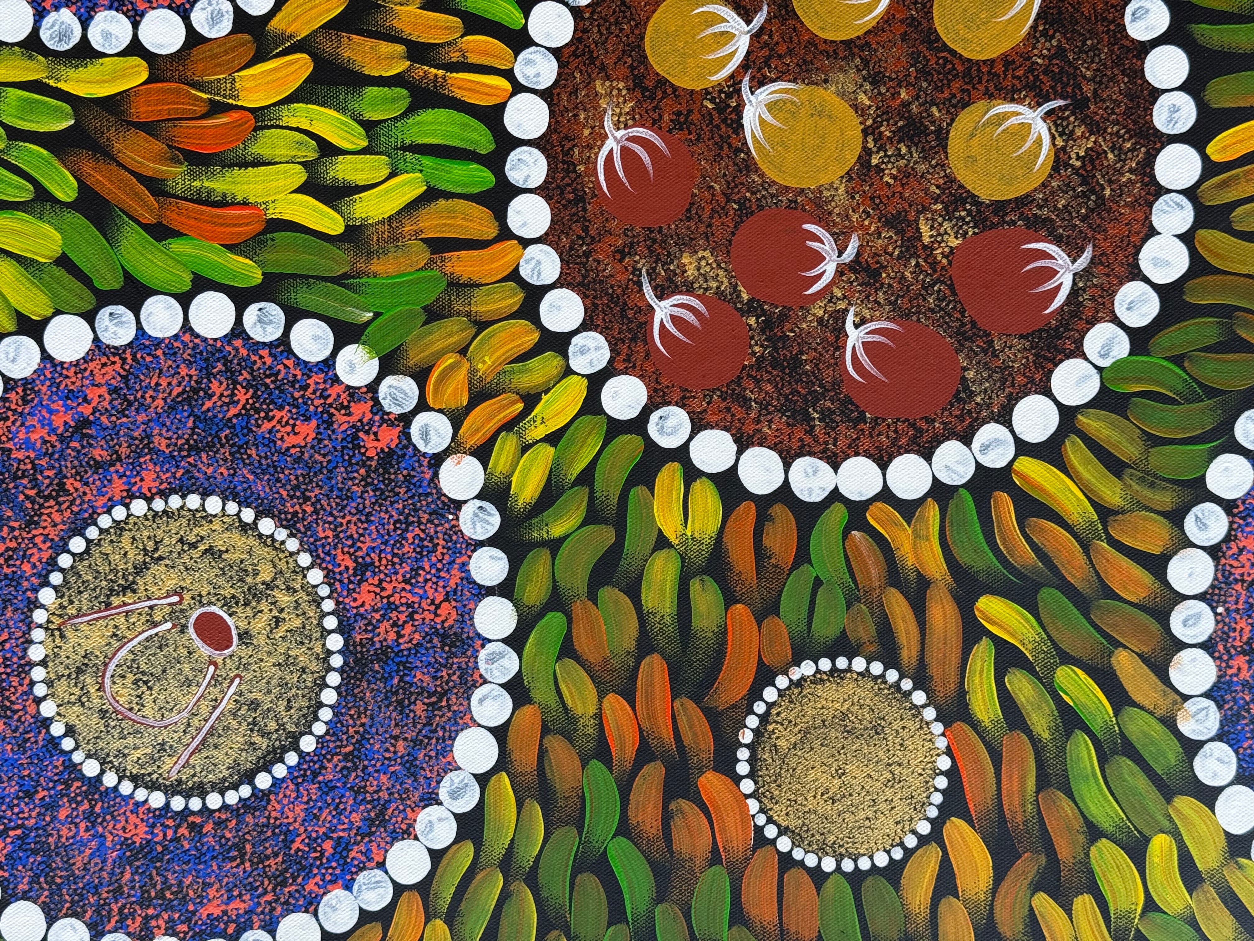 Sabina Gorey - Bush Medicine Leaves .04-6