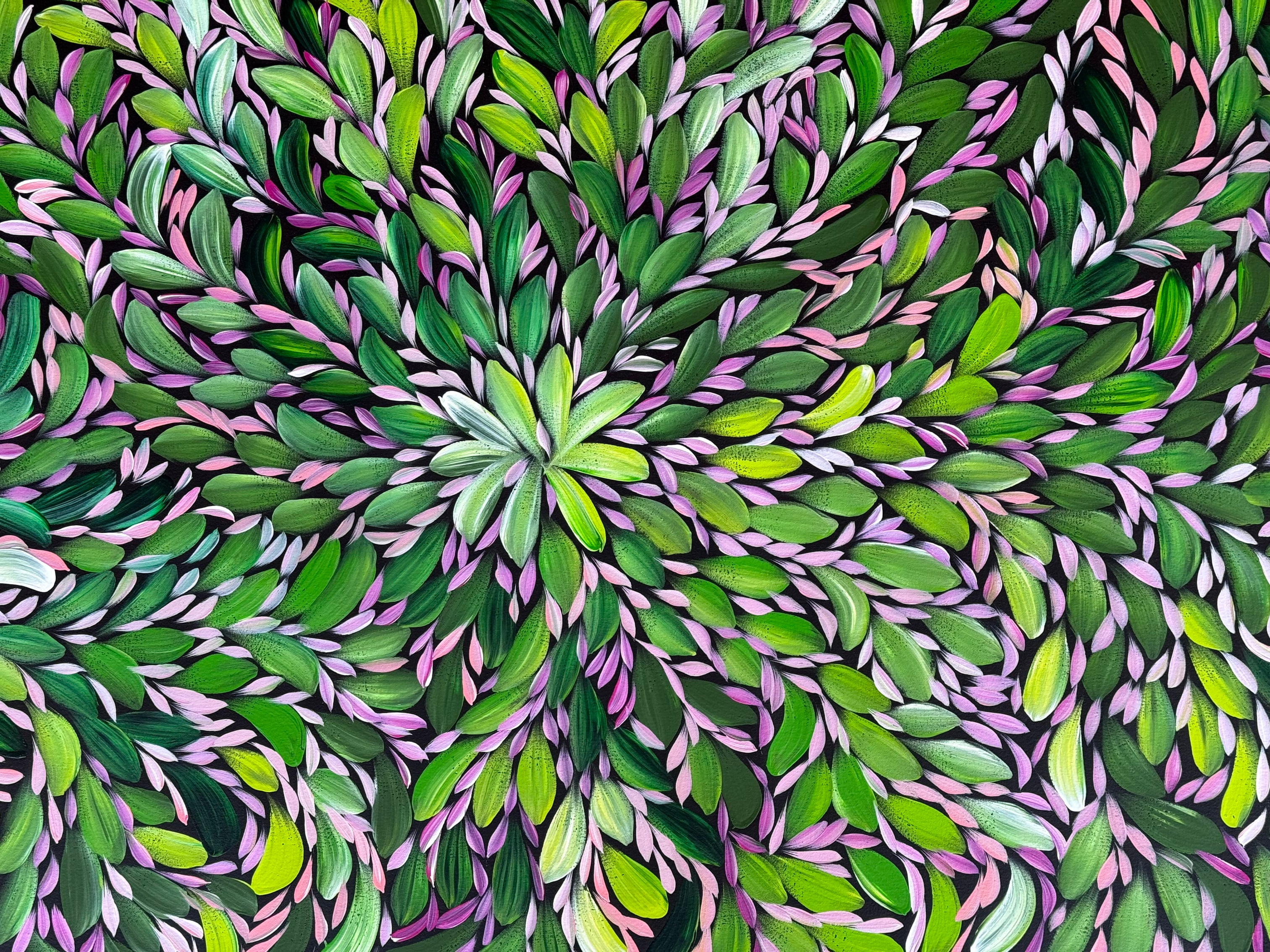 Louise Numina Napananka - Bush Medicine Leaves - 203x89cm .23-12